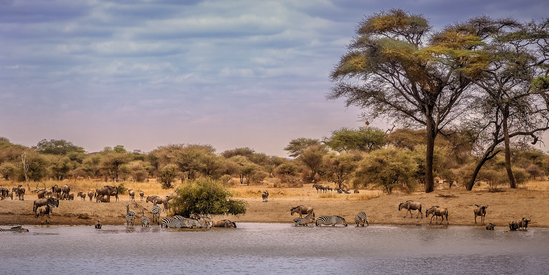 Tarangire NP, Tanzania