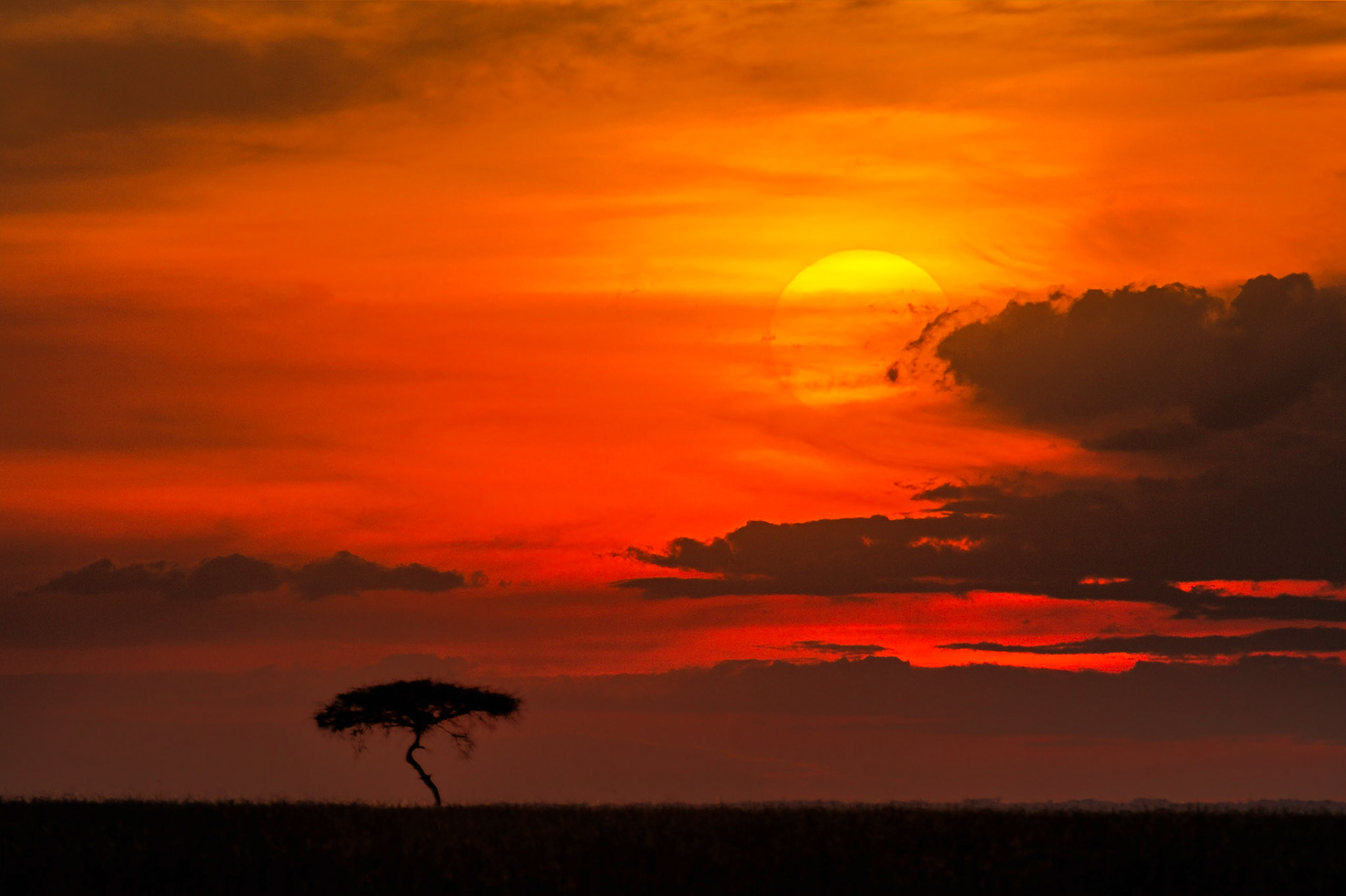 Sunset, Masai Mara, Kenya