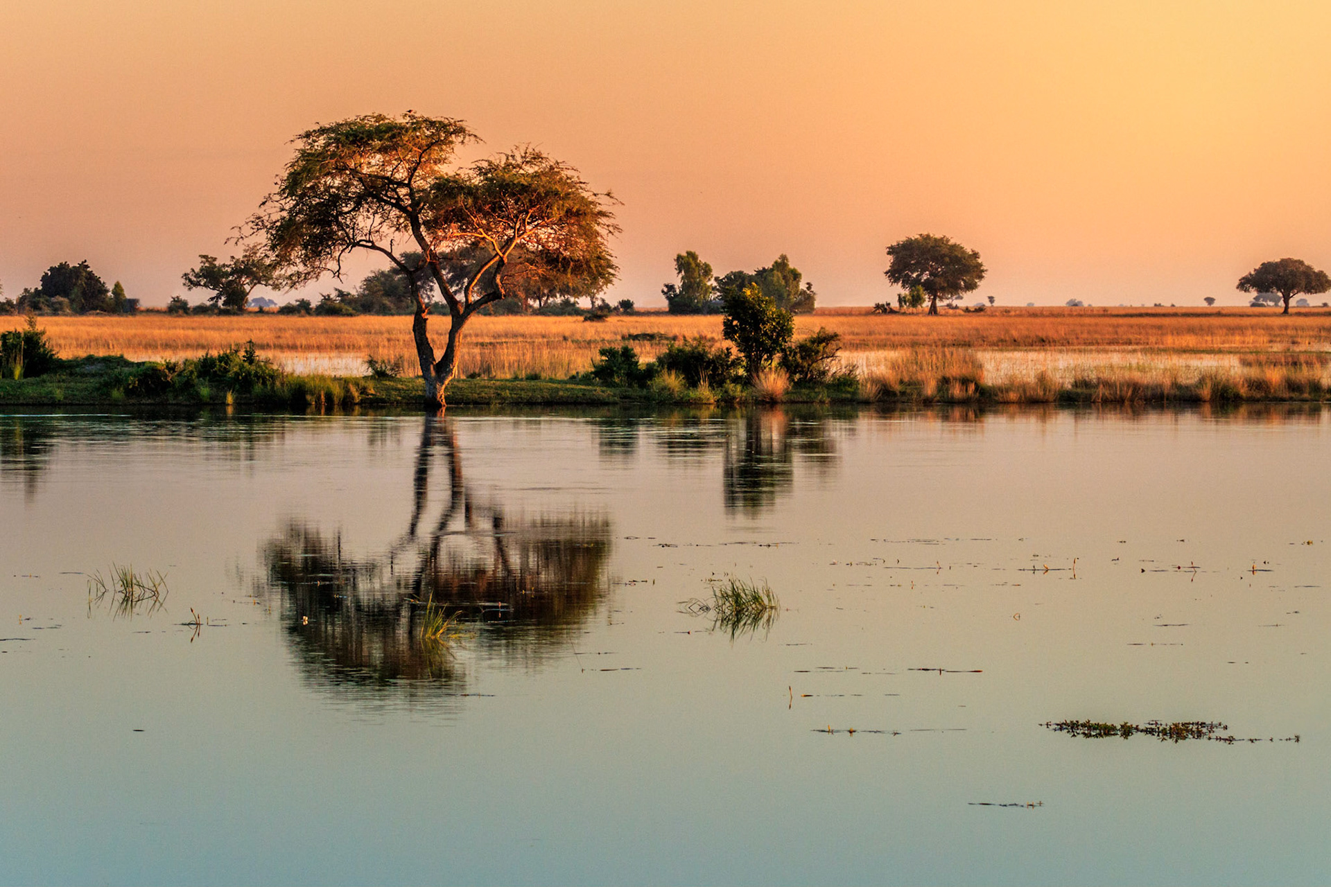 Sunset, Chobe River, Botswana