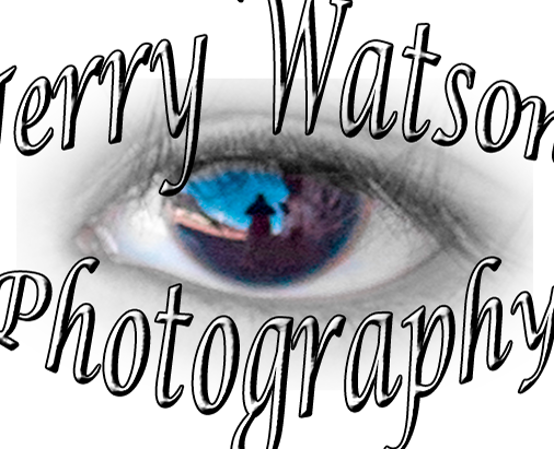 Jerry Watson