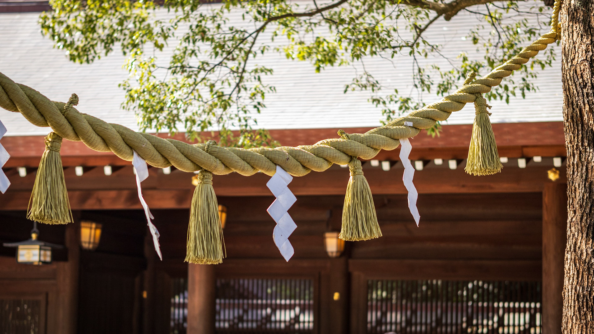 provaz Shimenawa, svatyně Meiji Jingu