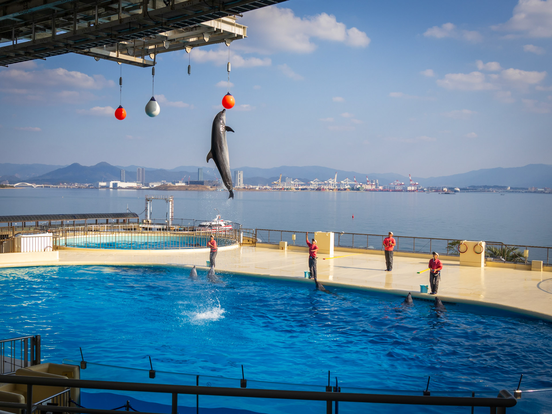 mořský svět Uminonakamichi, Fukuoka