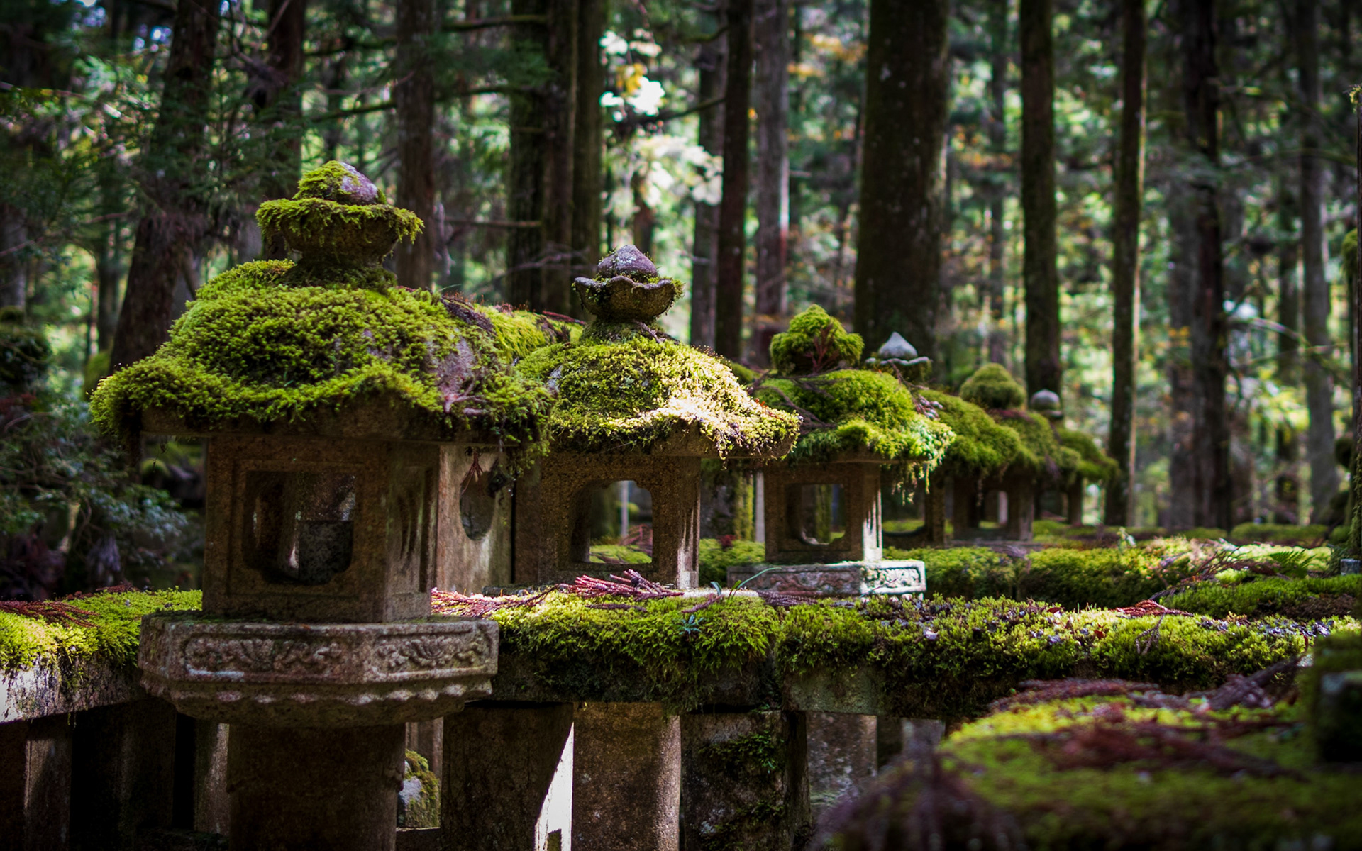 hřbitov Okunoin, Koya-san