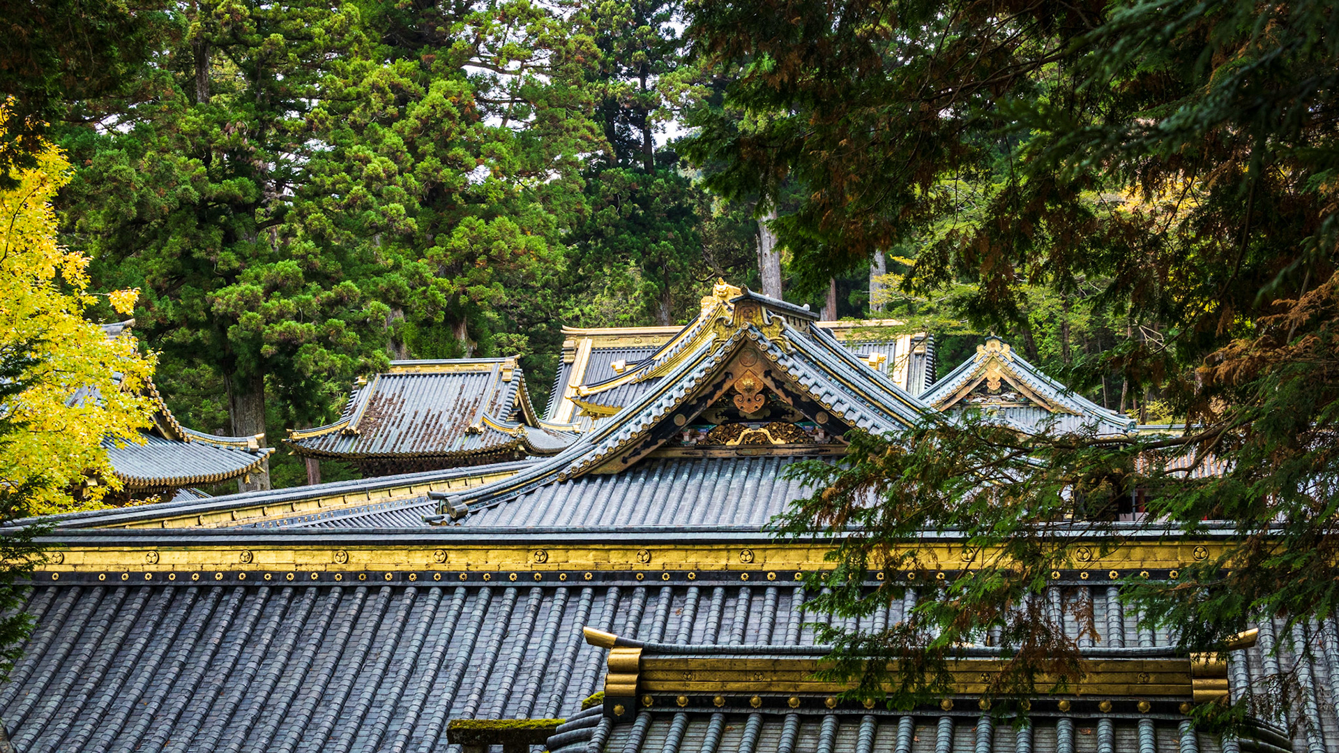střechy chrámu Gohonsha, Nikkó