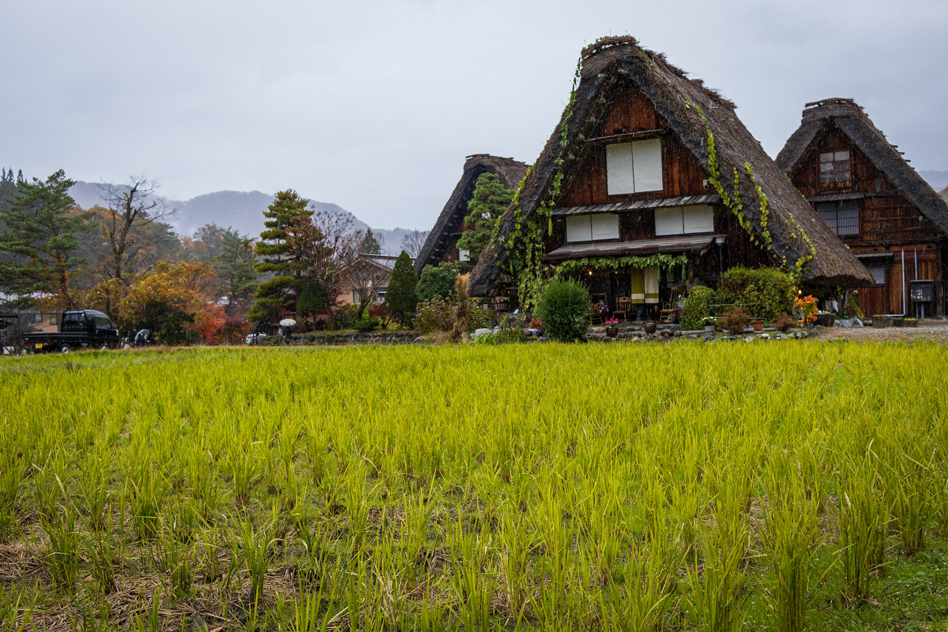 Domy stylu Gassho-zukuri, Shirakawa-go