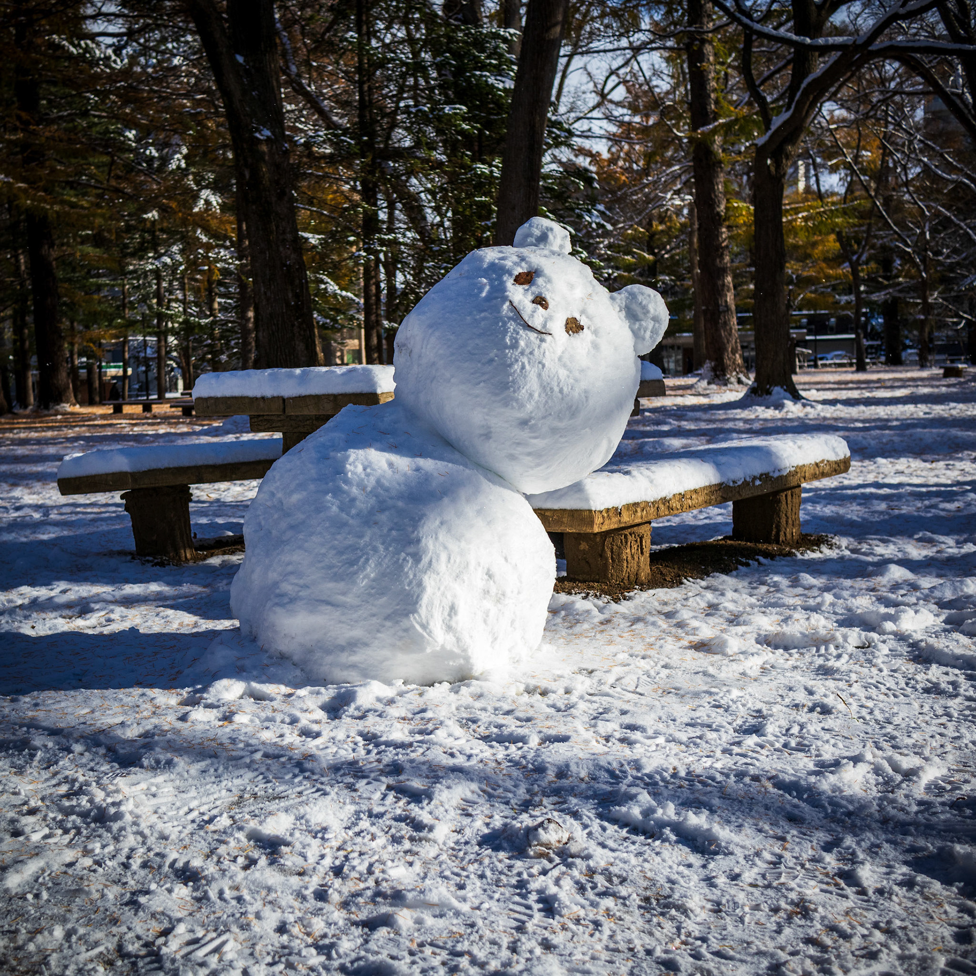 v parku Maruyama, Sapporo