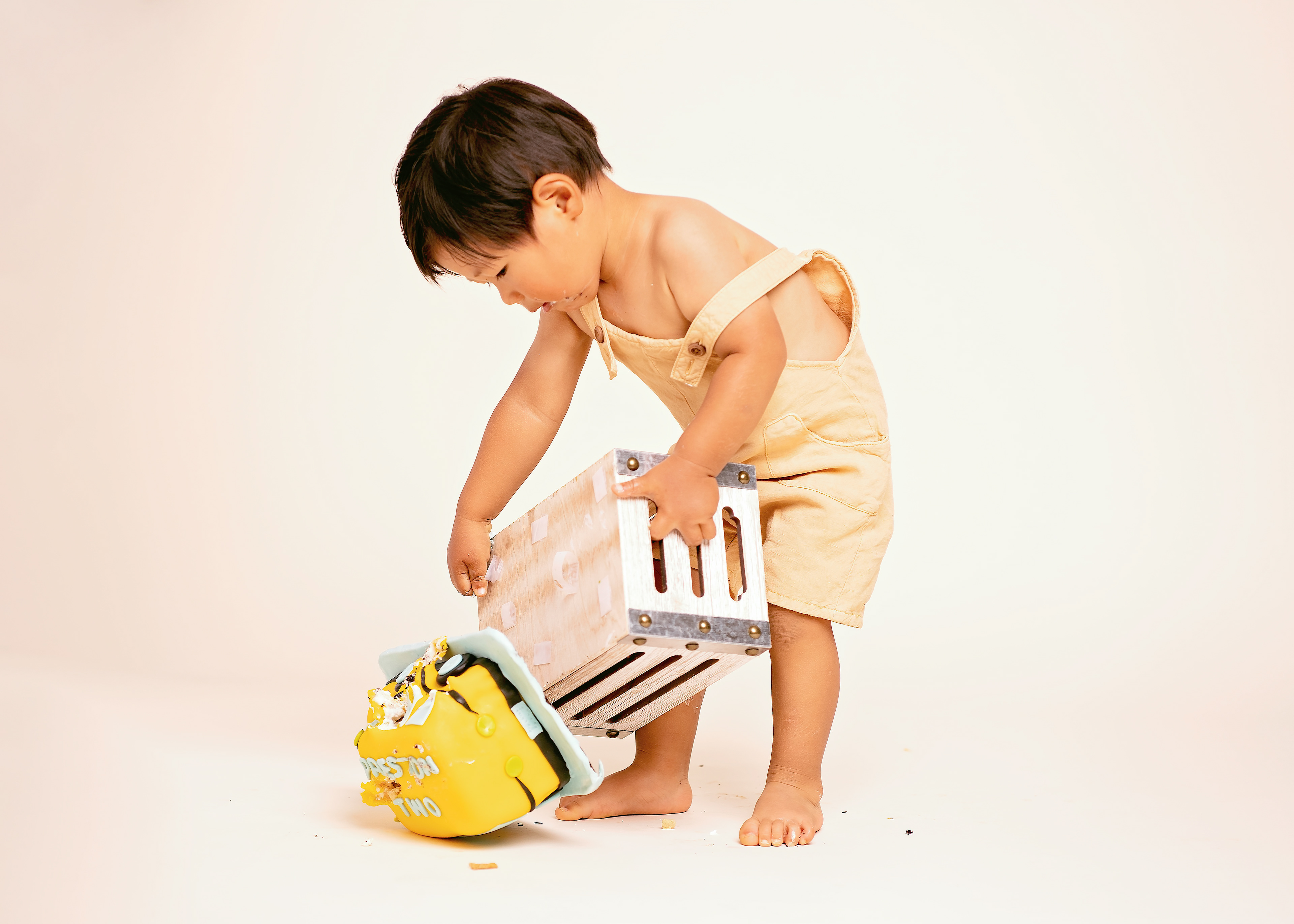 Cake smash session baby milestone peoria IL