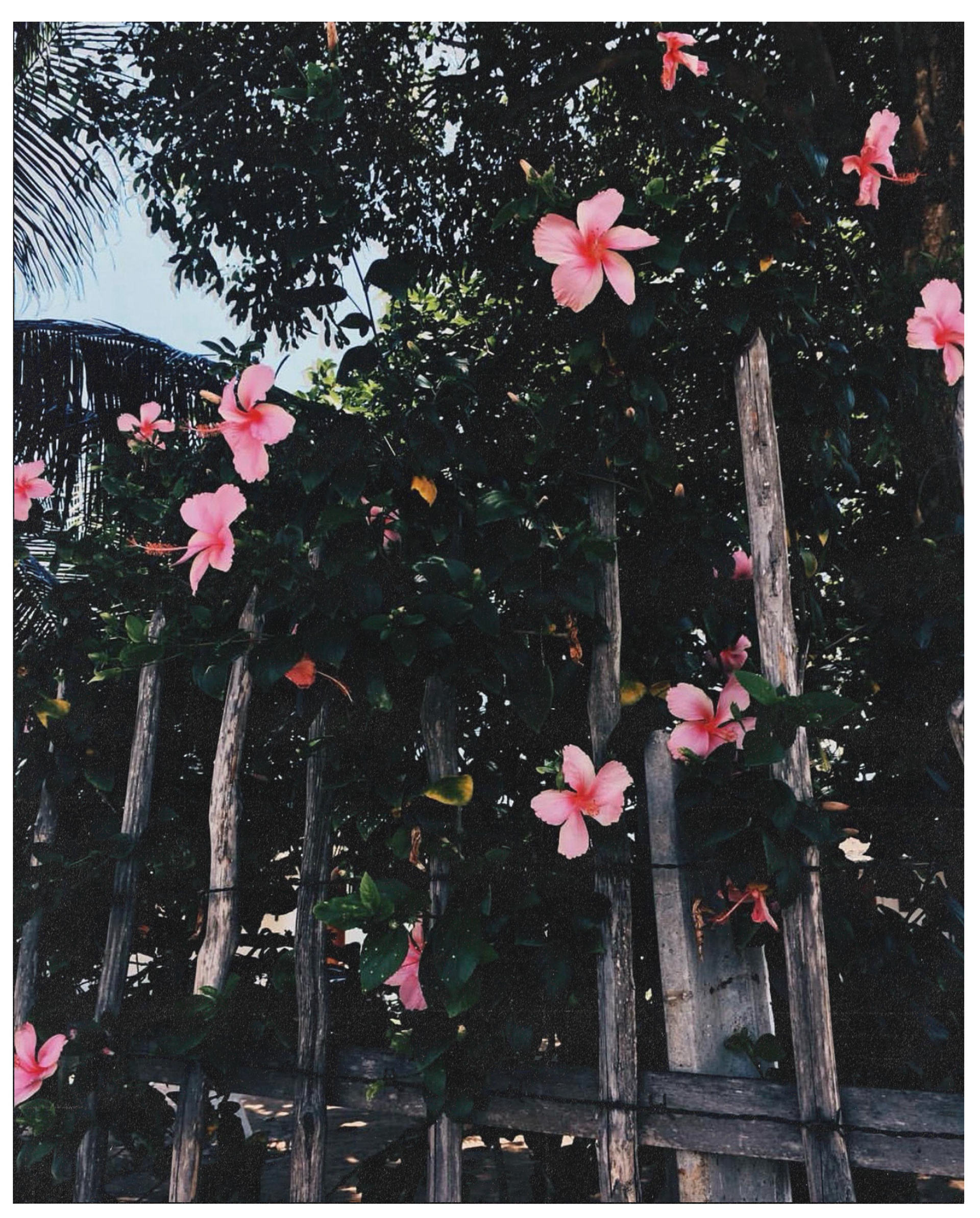 fuji film x 35mm | exposed