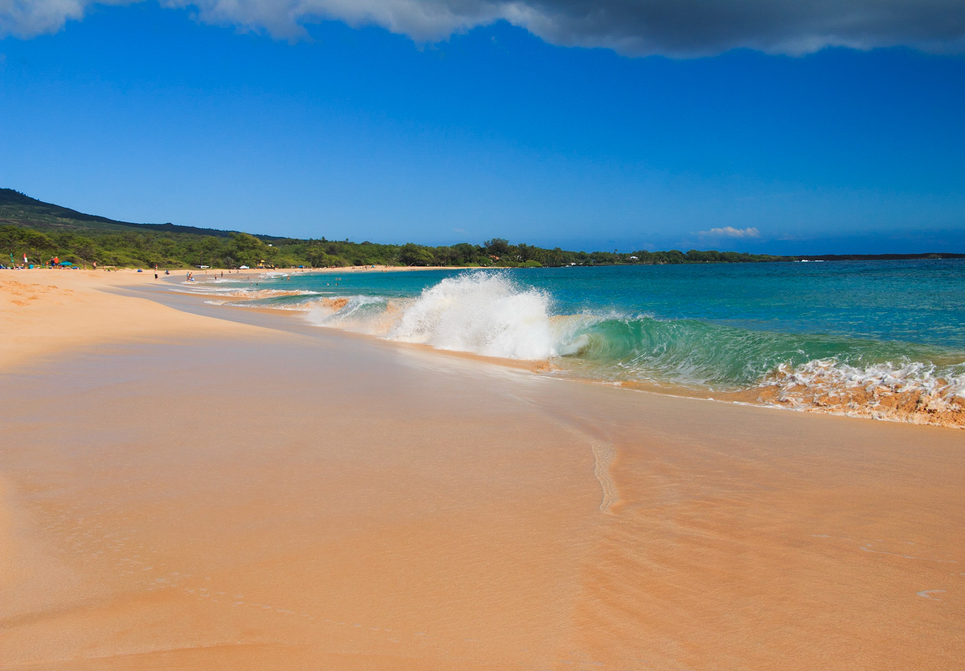 Maui Beachfront