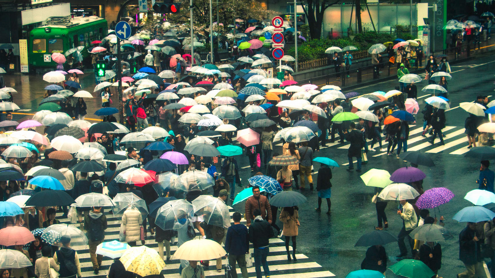 Umbrellas