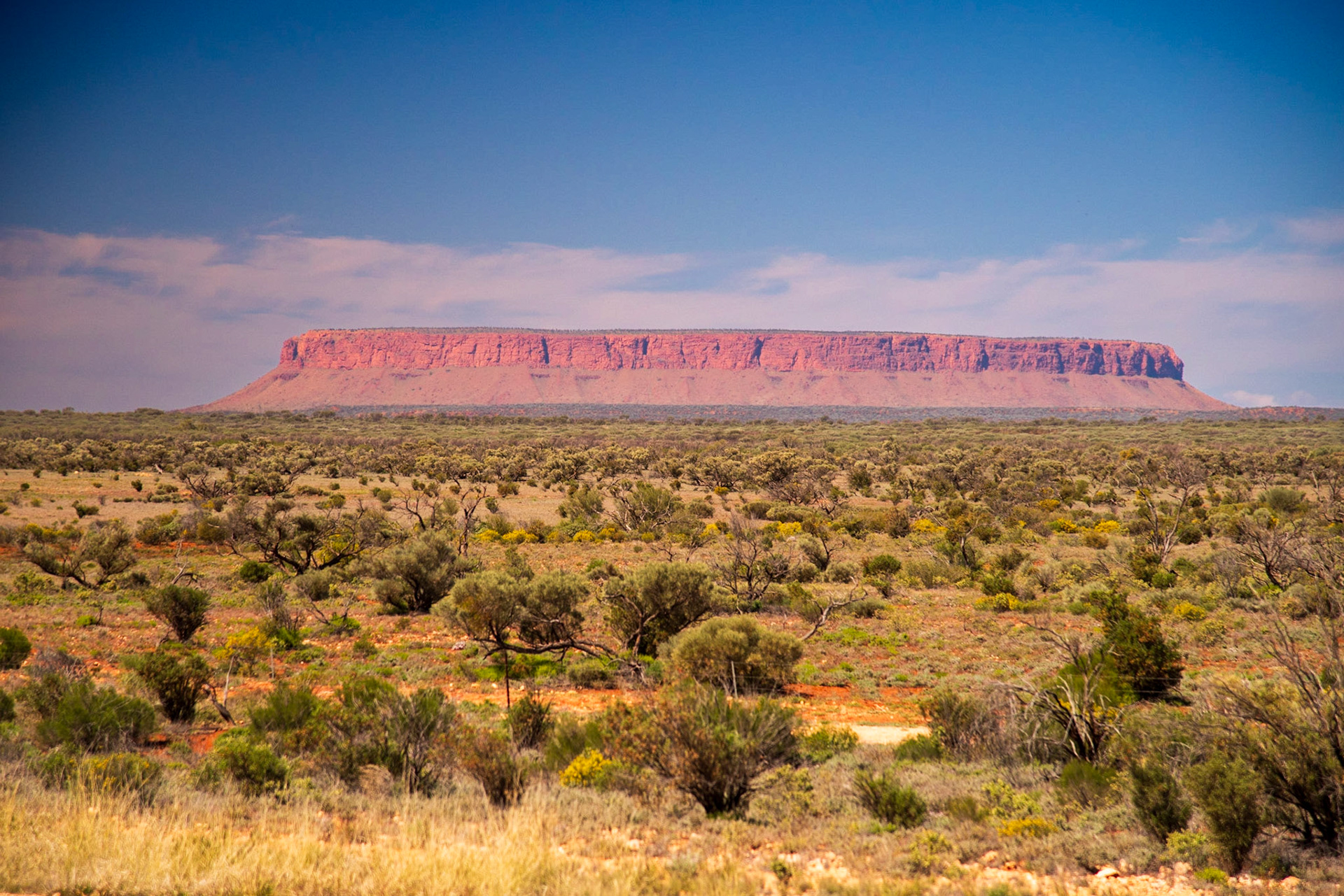 Fake Uluru