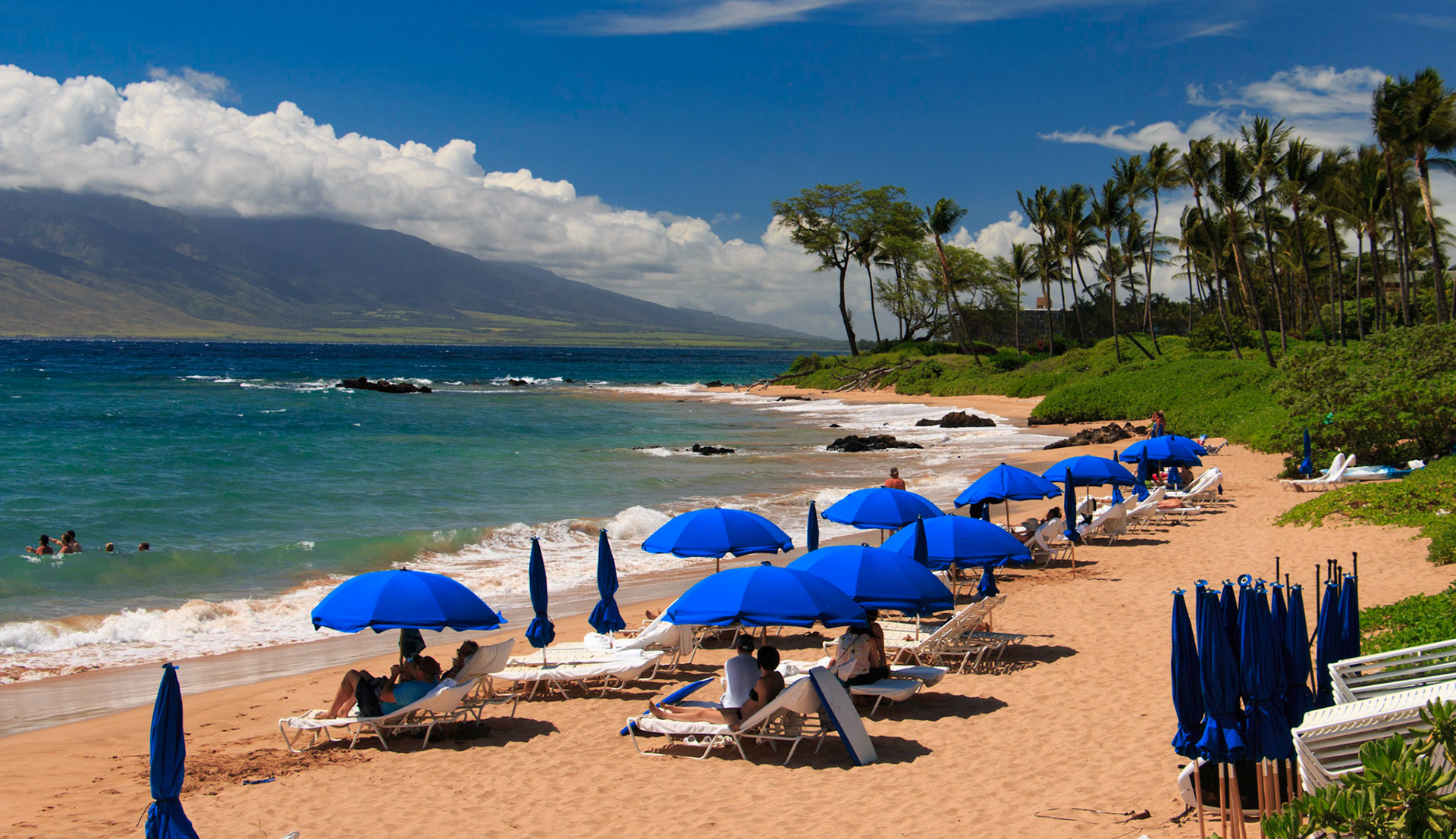 Beachfront umbrellas