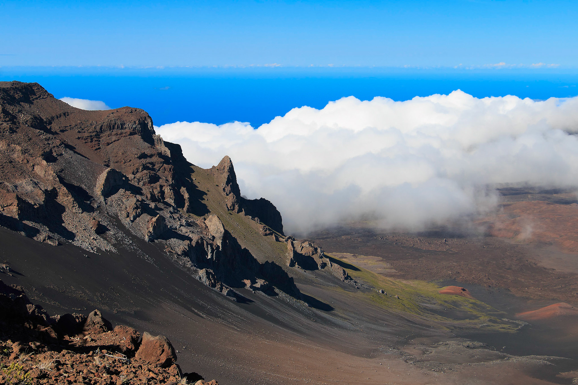 Haleakalea