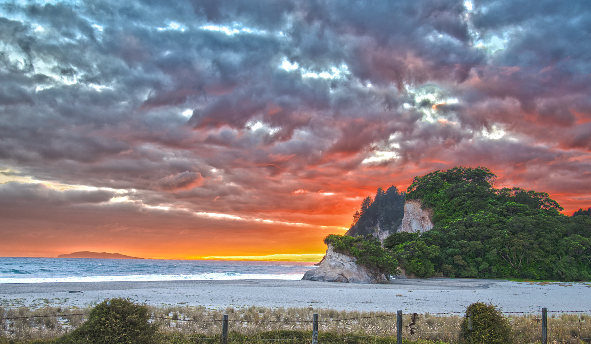 Whiritoa Beach