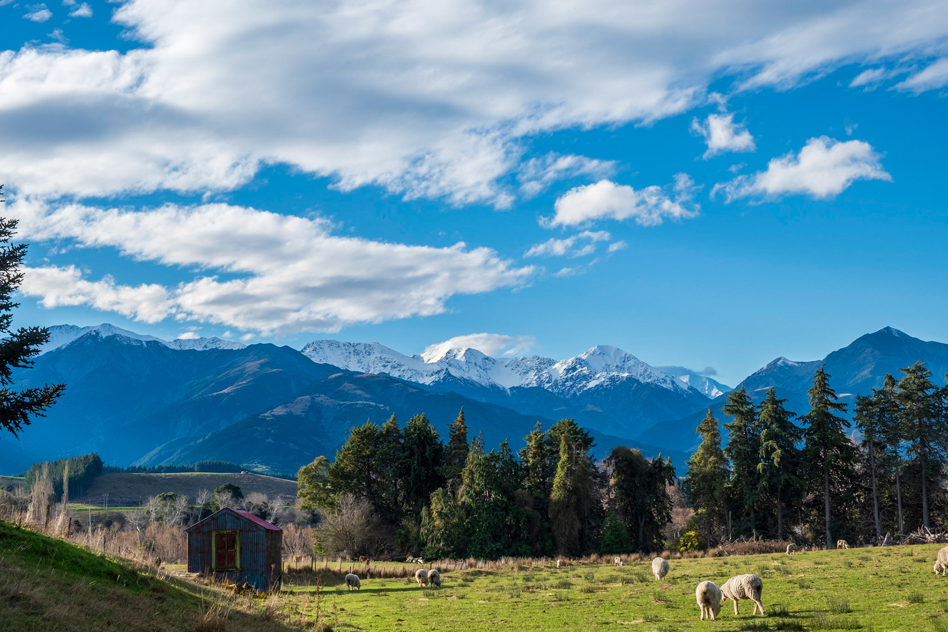 Near Kaikoura