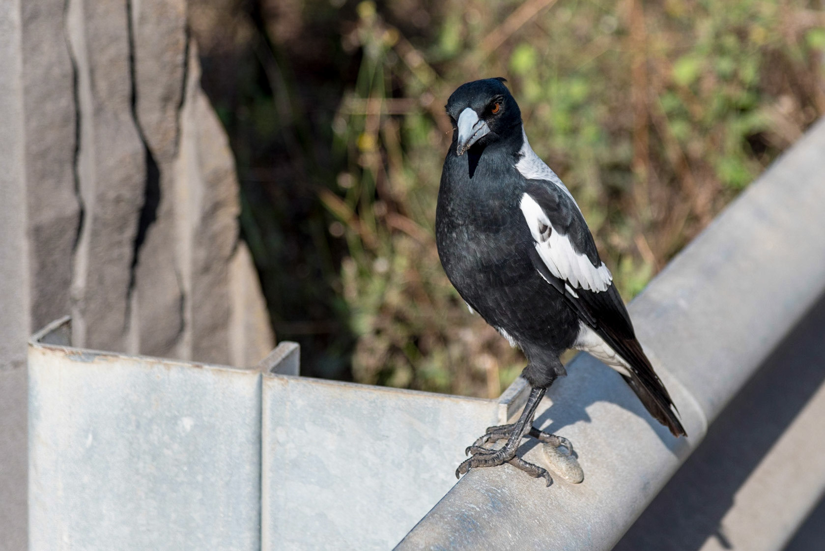 Are you looking at me?