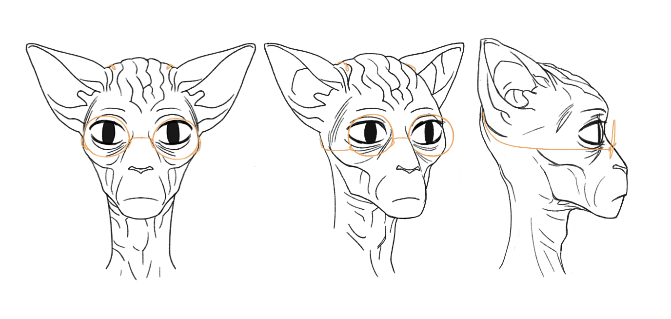 Astet Head Turnaround