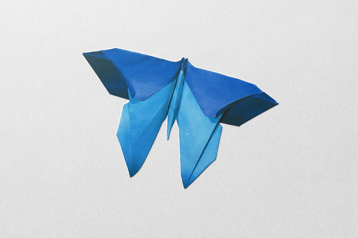 Image of a blue origami butterfly for a cover illustration.