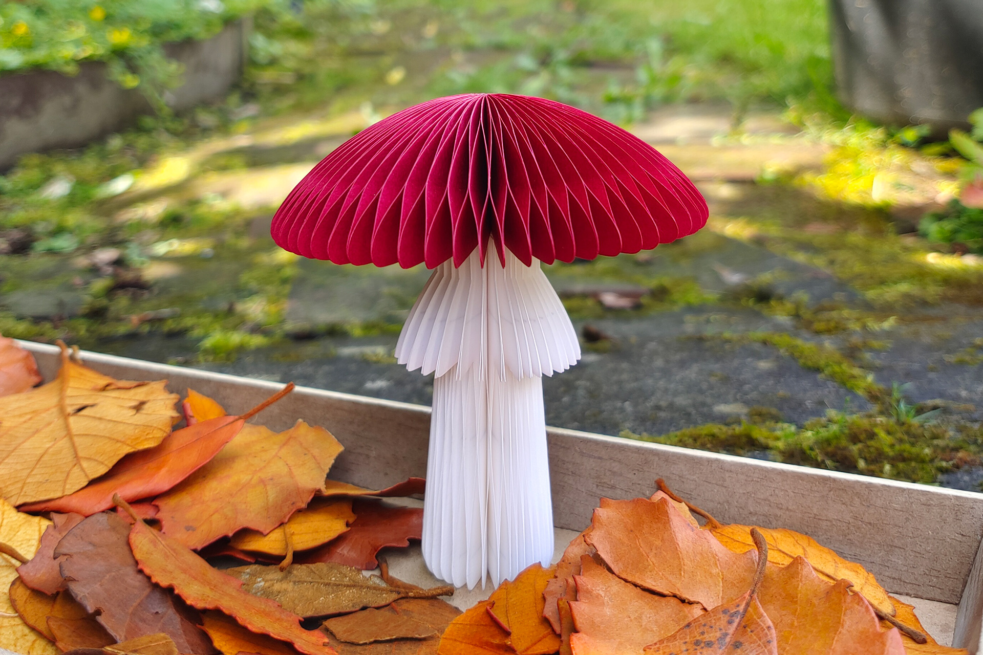 Honeycomb Mushroom ornament made out of paper. The different mushrooms are all handmade in germany. perfekt as a gift or decoration for your home.