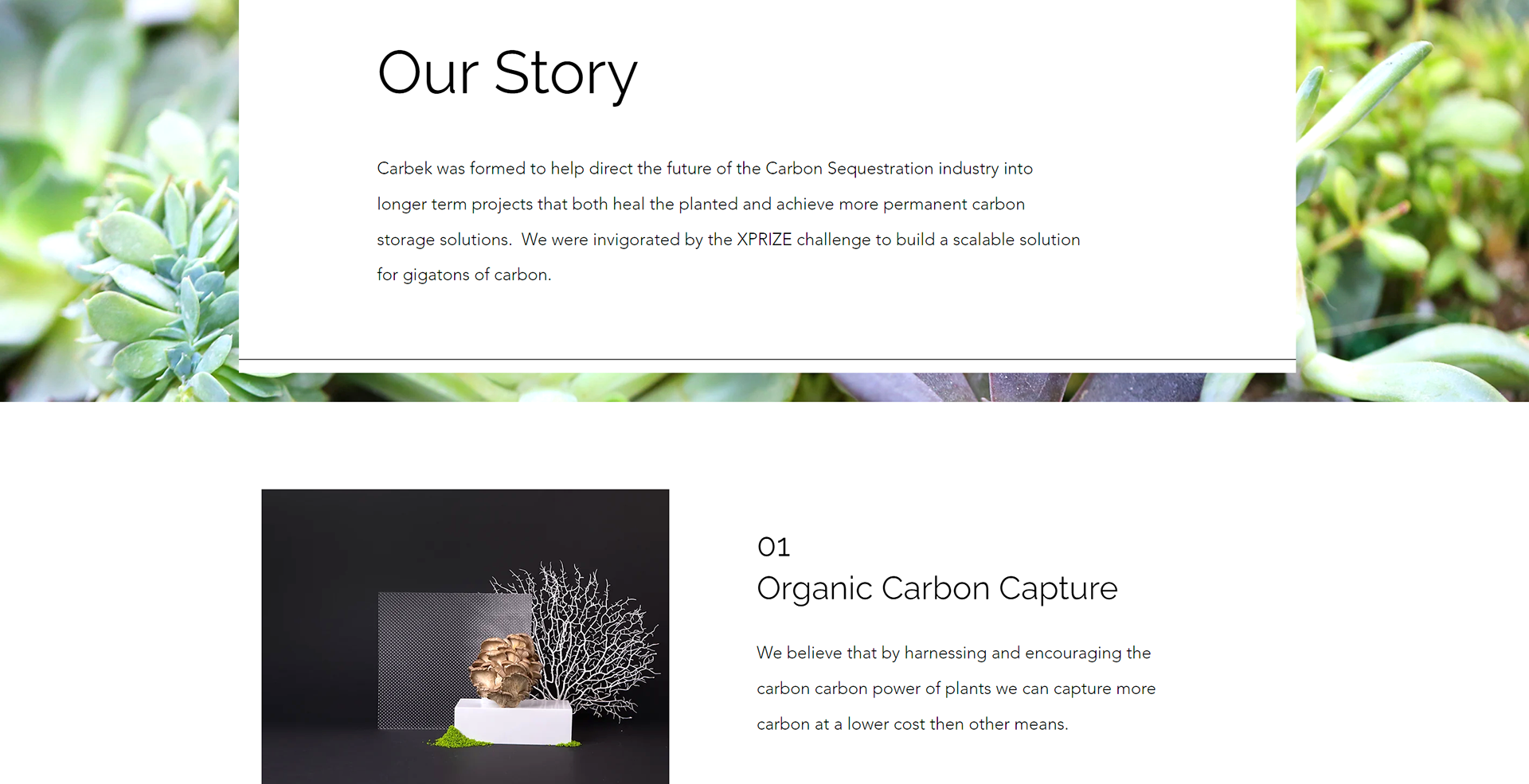 carbek.com