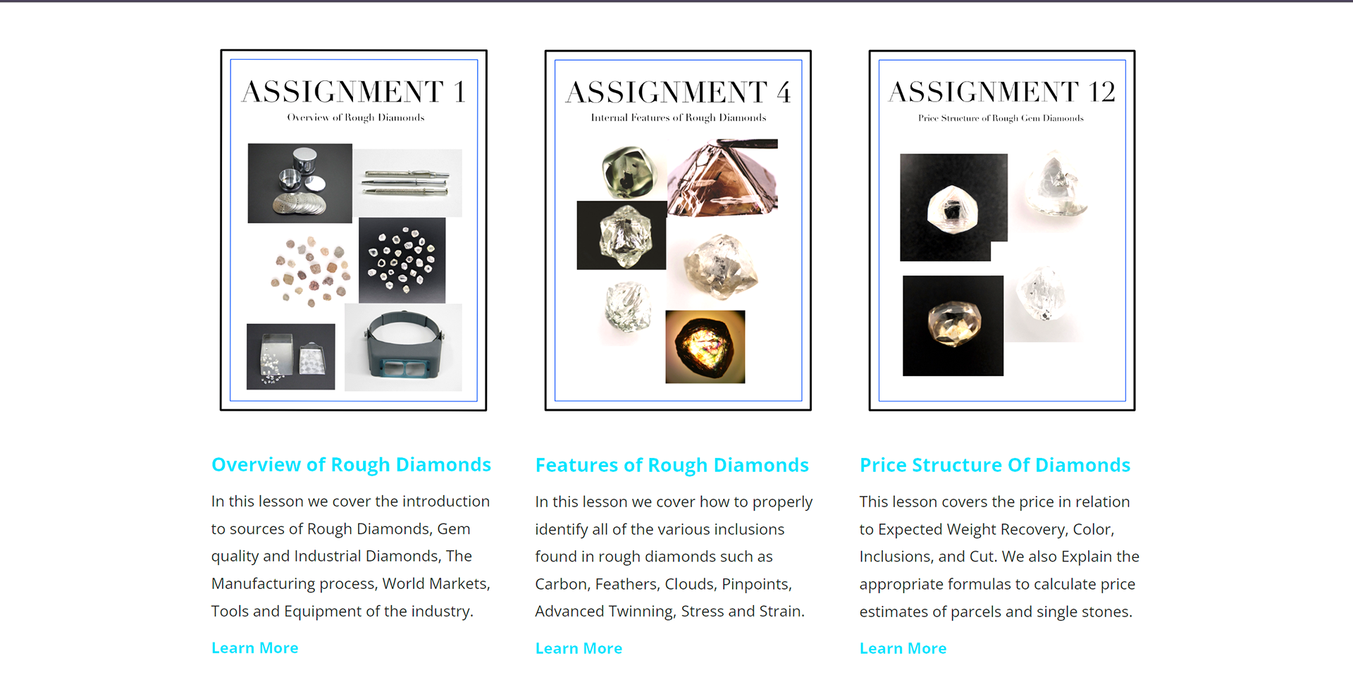 diamondcourse.com