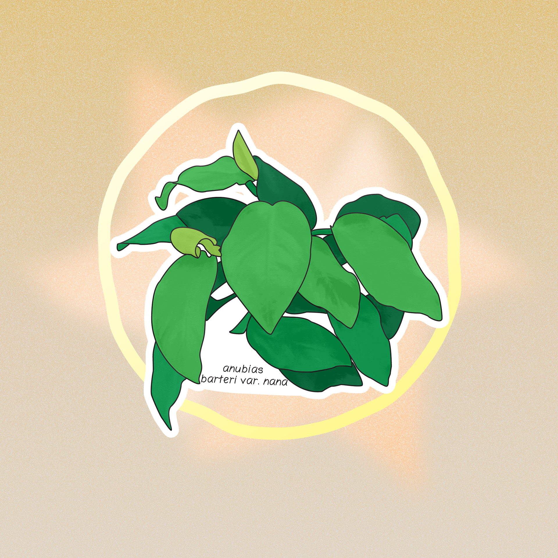 Anubias plant sticker