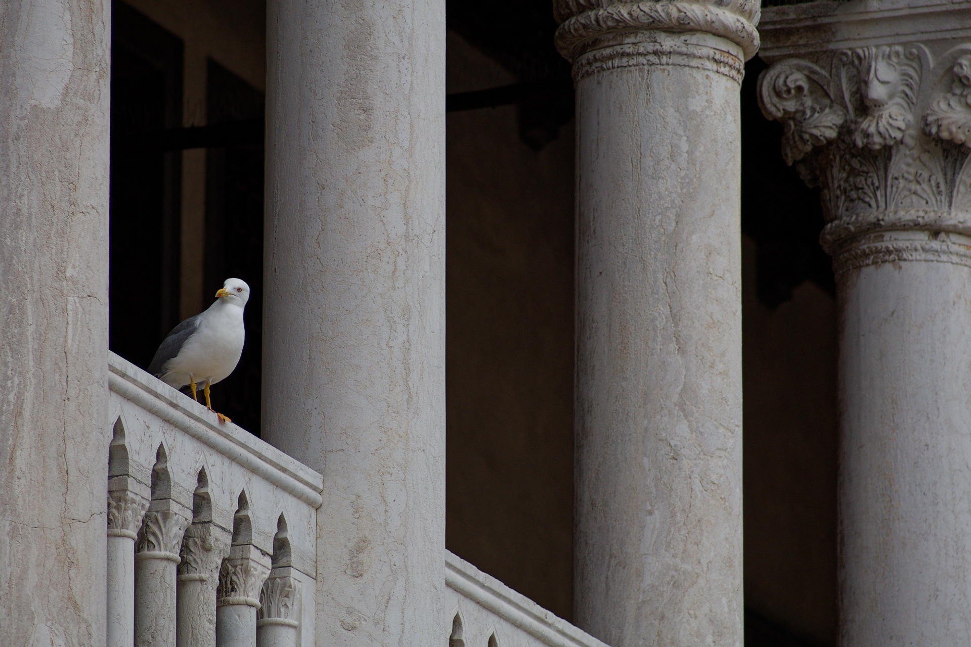 Venedig / Venice