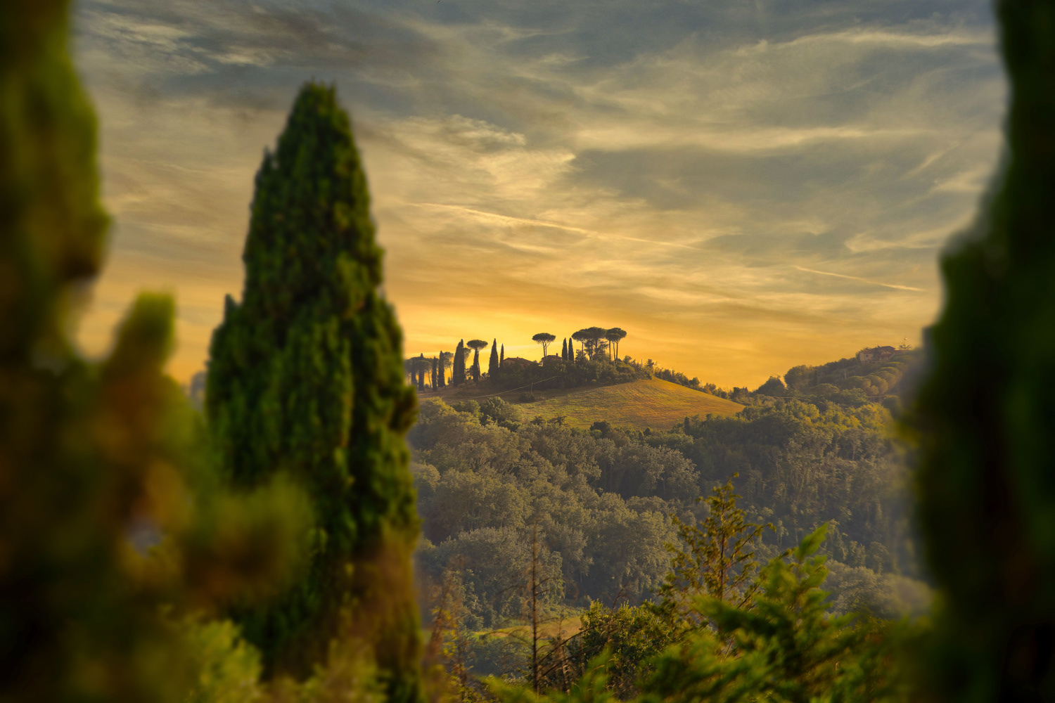 MONTEBUONO