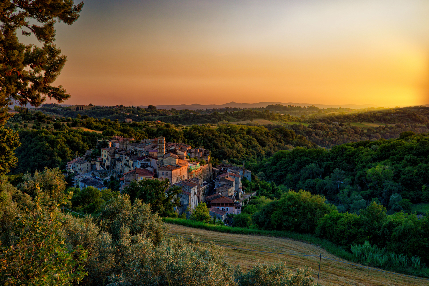 Tarano