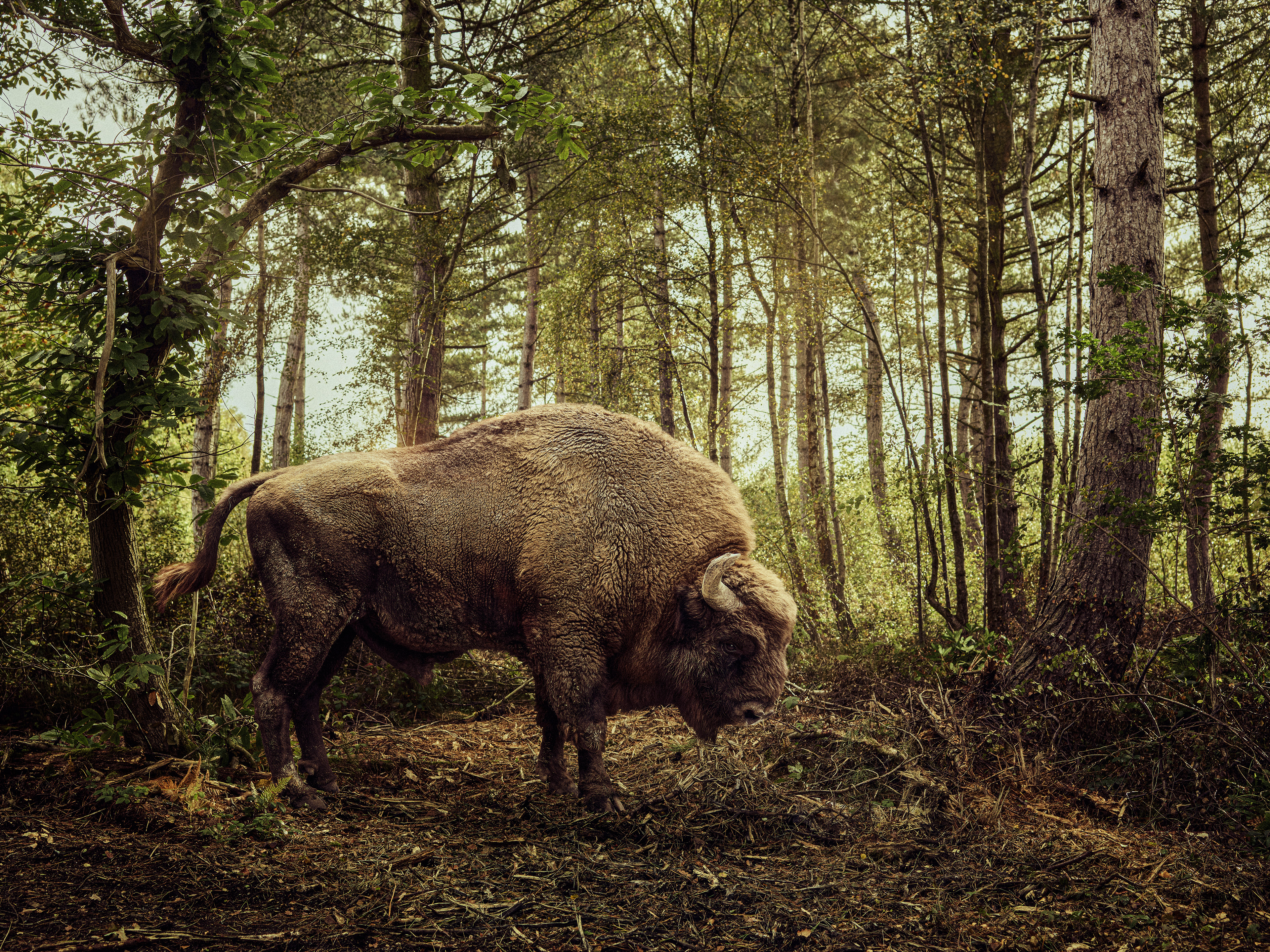WIRED Magazine, Photography by Michael Blann