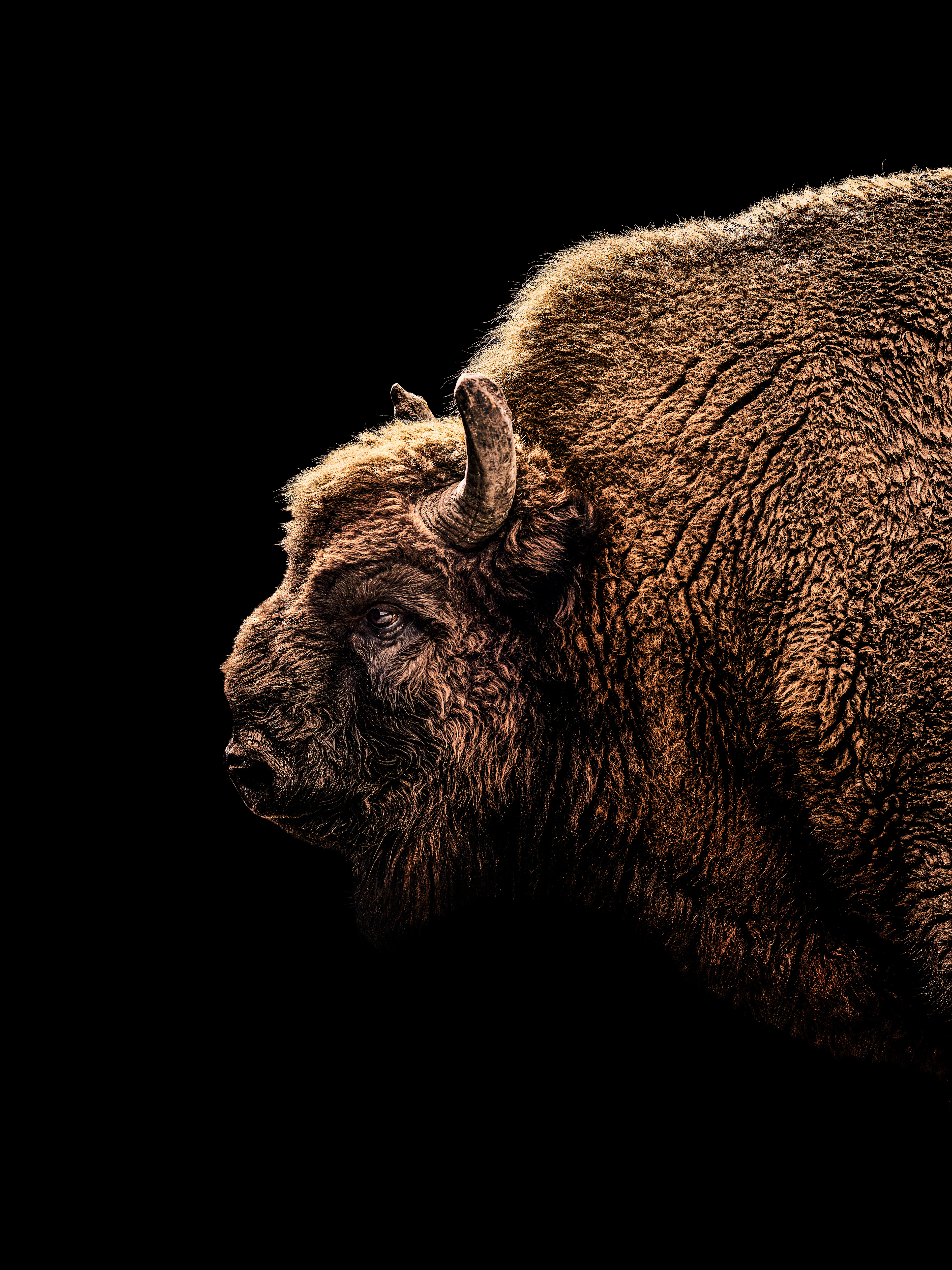 WIRED Magazine, Photography by Michael Blann