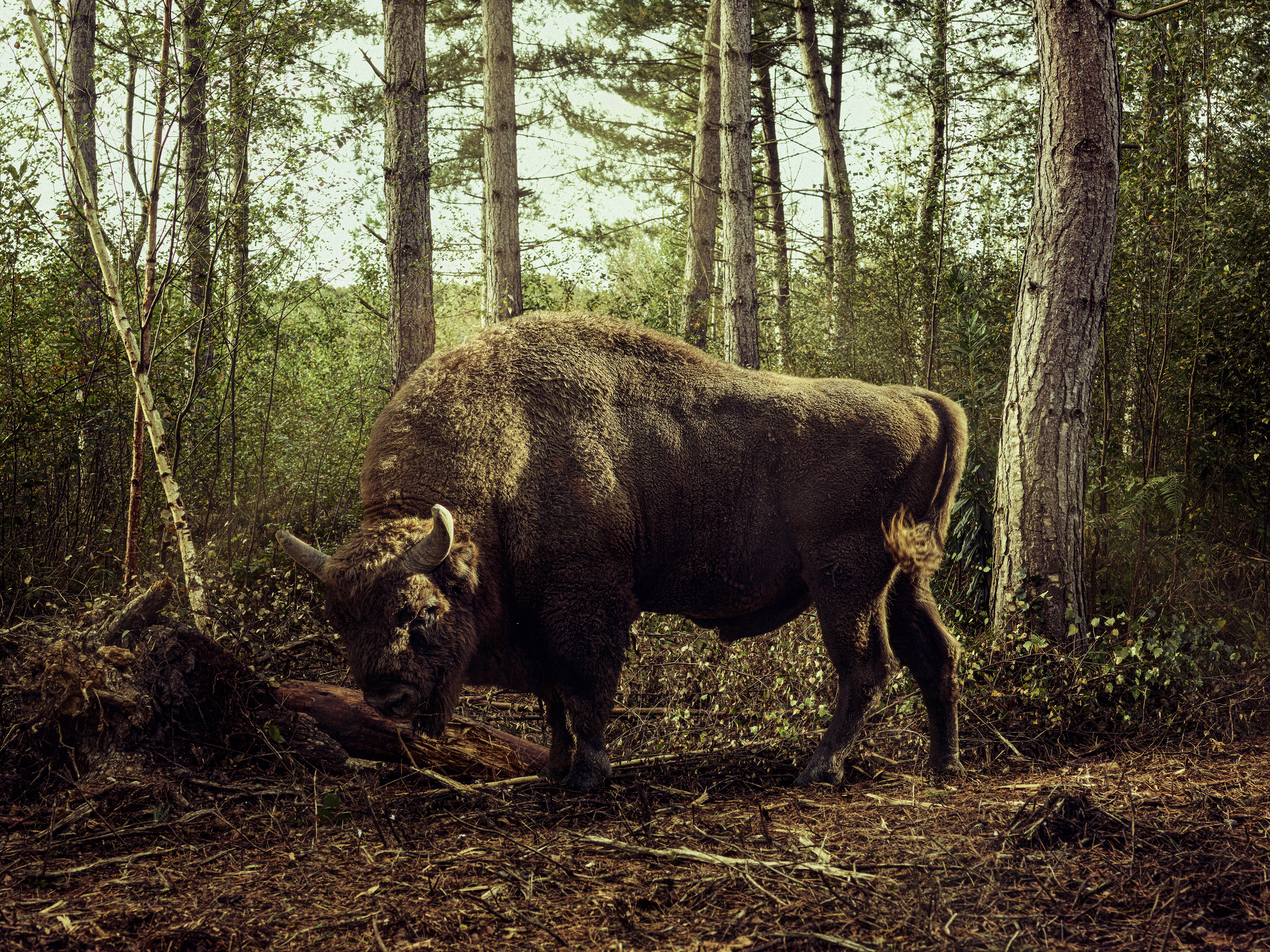 WIRED Magazine, Photography by Michael Blann