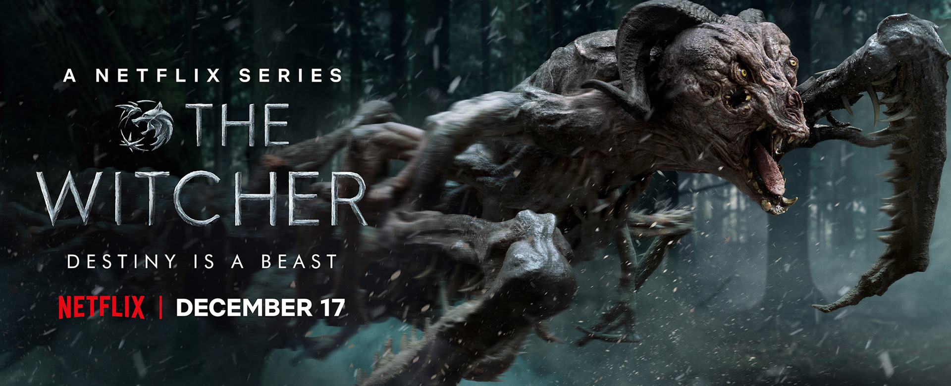 Netflix The Witcher - Artmachine