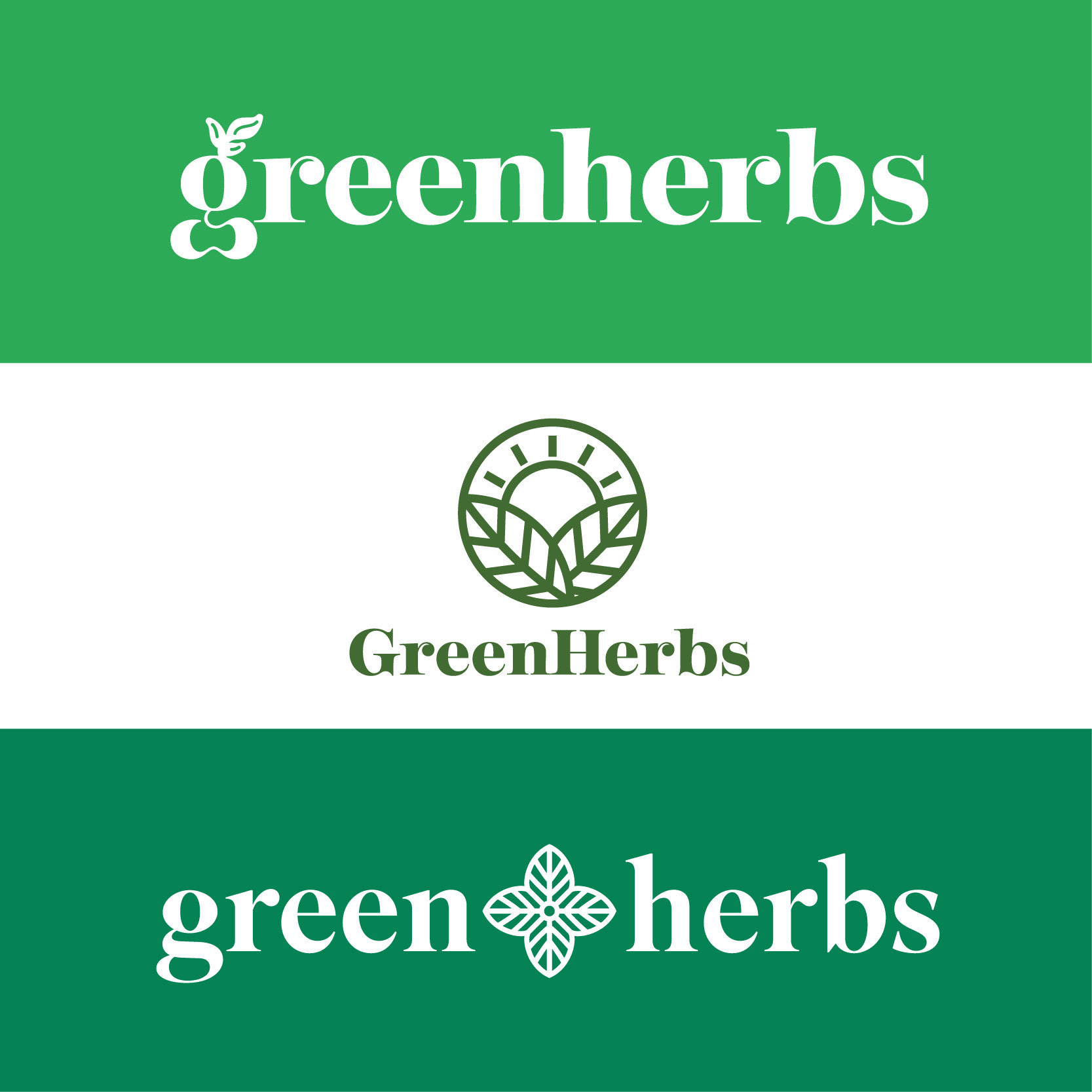 They chose among these 3 final logo design, and the first one was chosen.