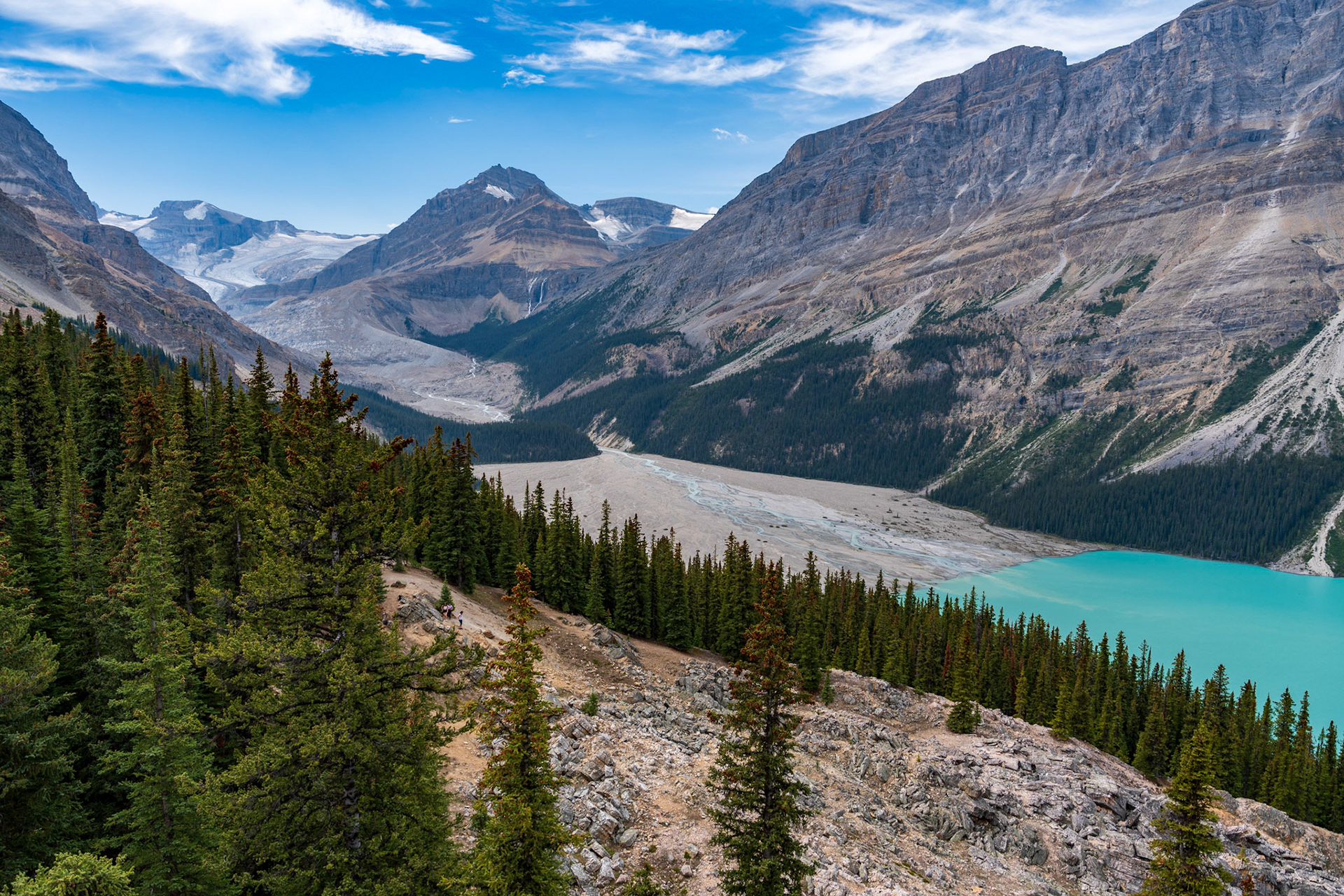 Peyto Lake
