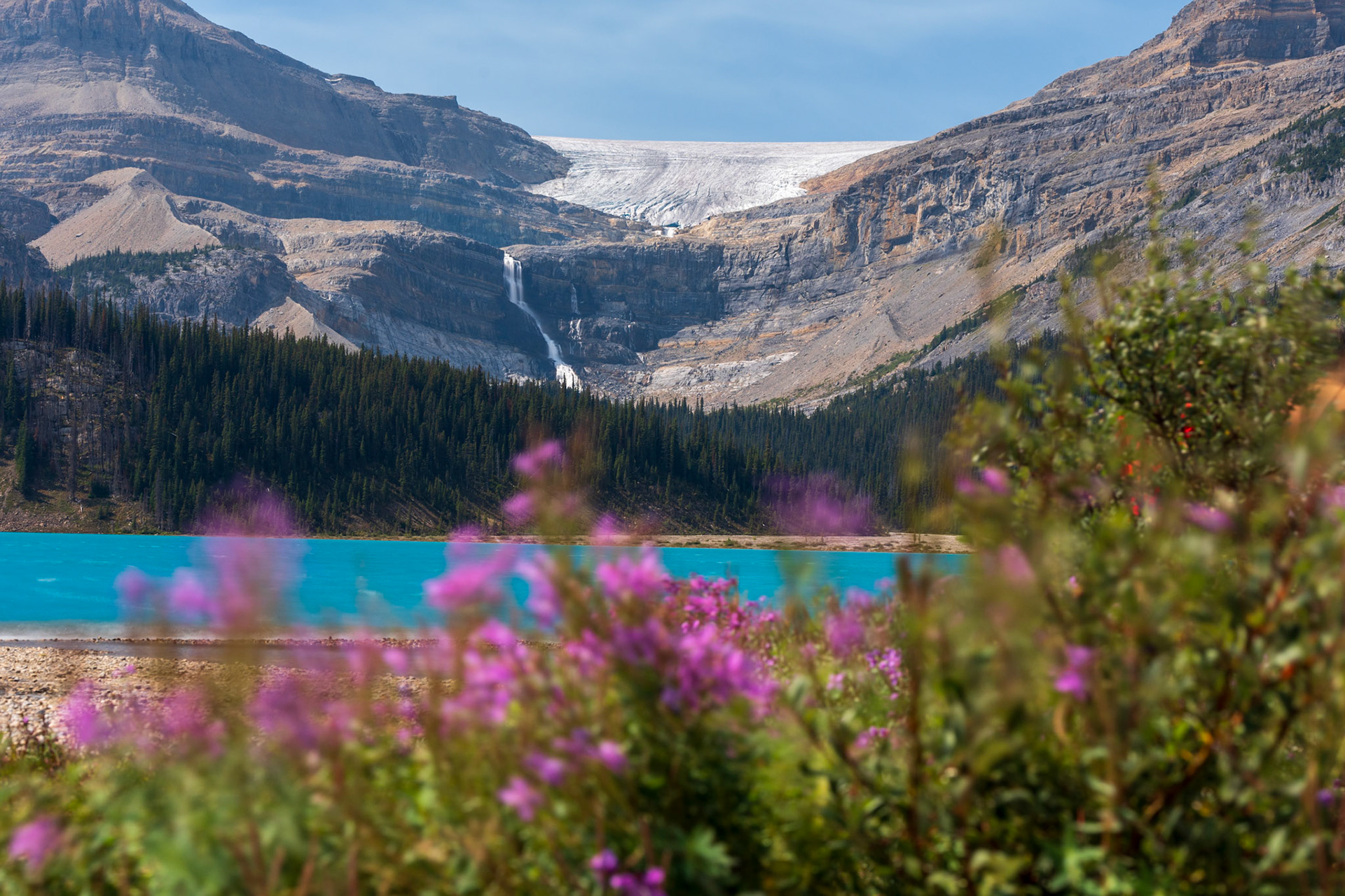 Bow Lake