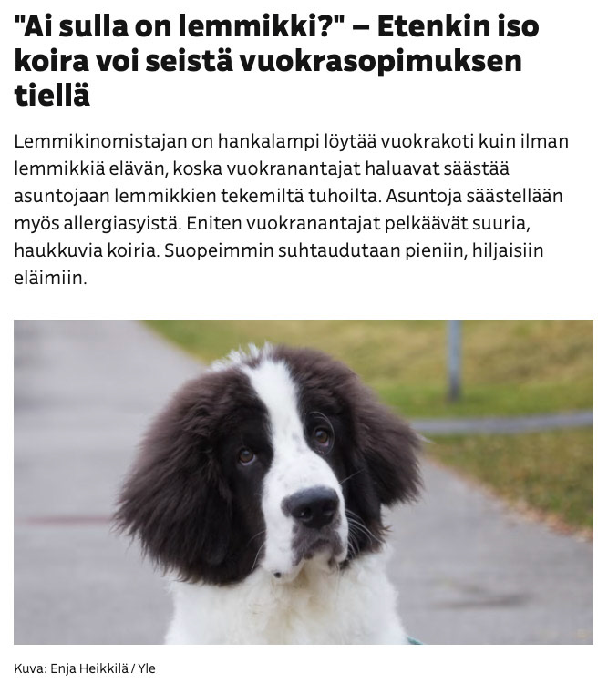 https://yle.fi/a/3-8697435