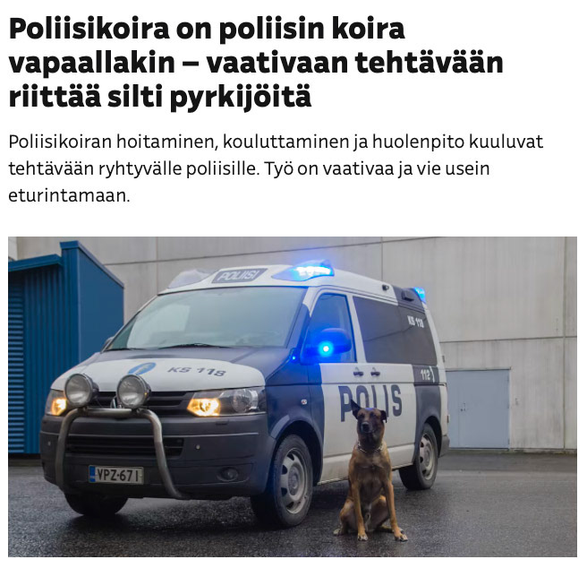 https://yle.fi/a/3-8643108