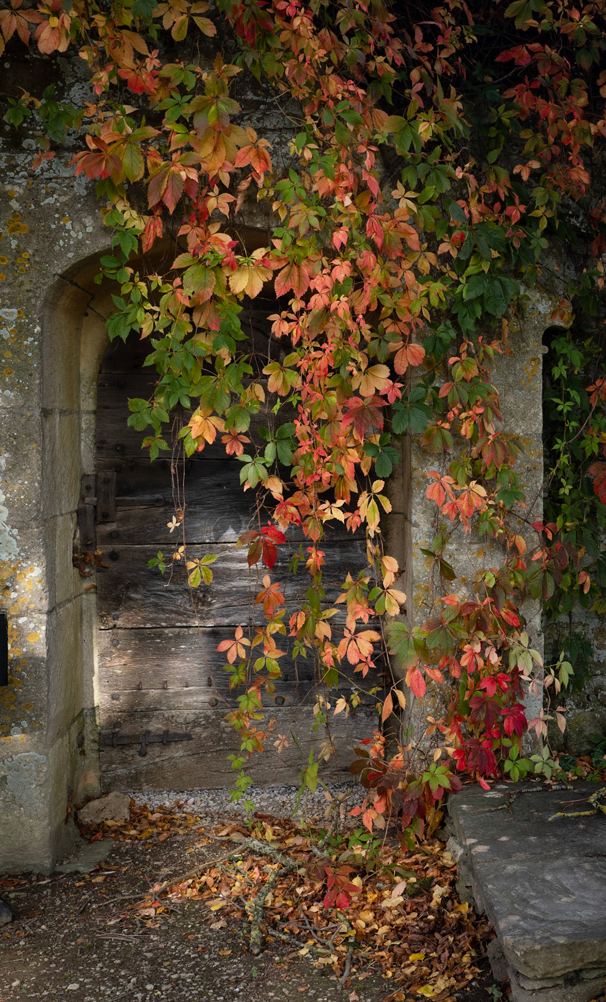 Great Chalfield Manor, Autumn '23