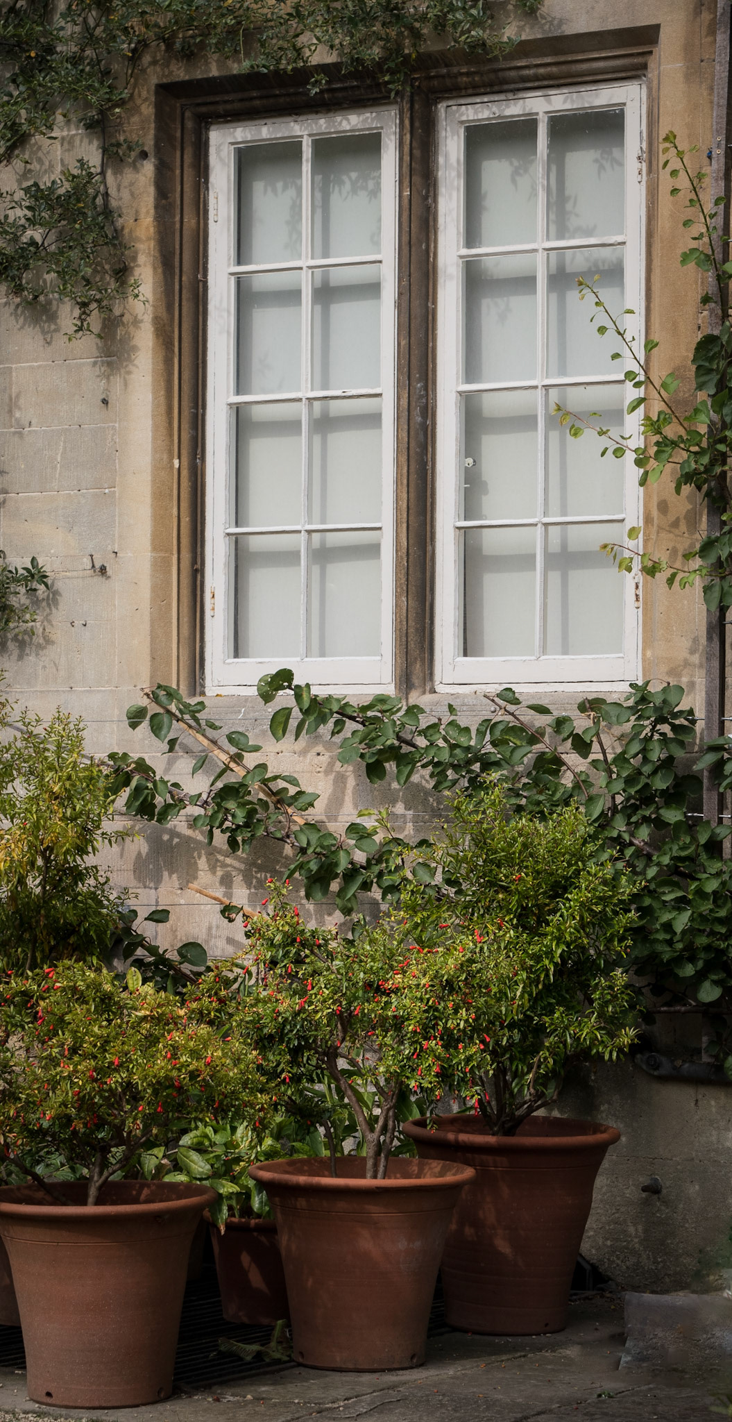 NT Dyrham Park