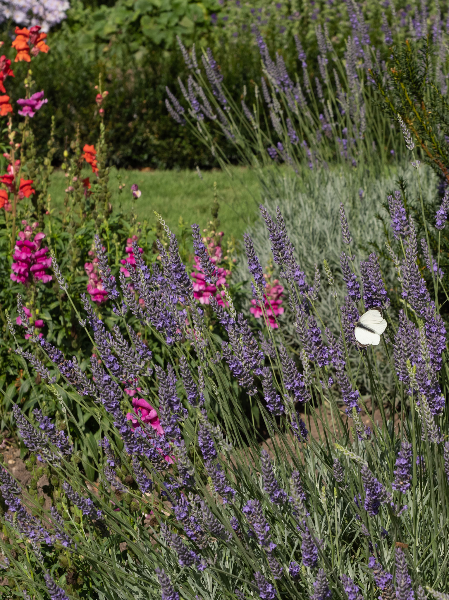 NT Dyrham Park