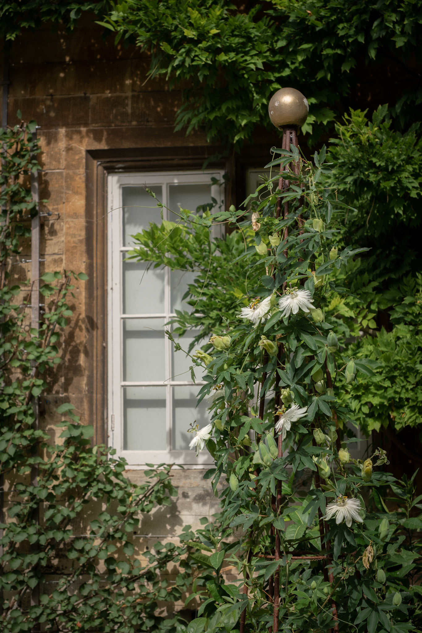 NT Dyrham Park