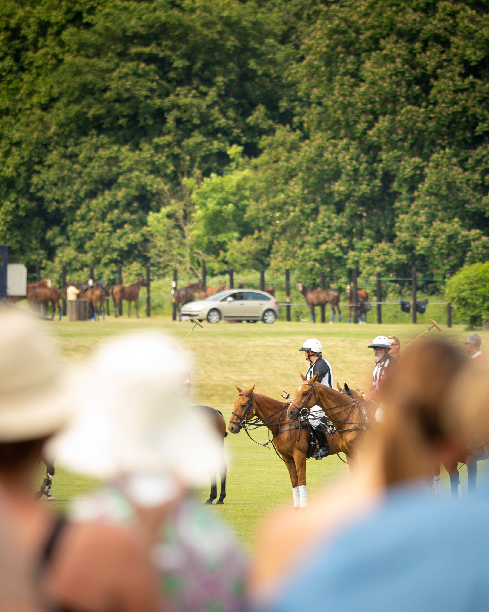 Beaufort, Festival of Polo