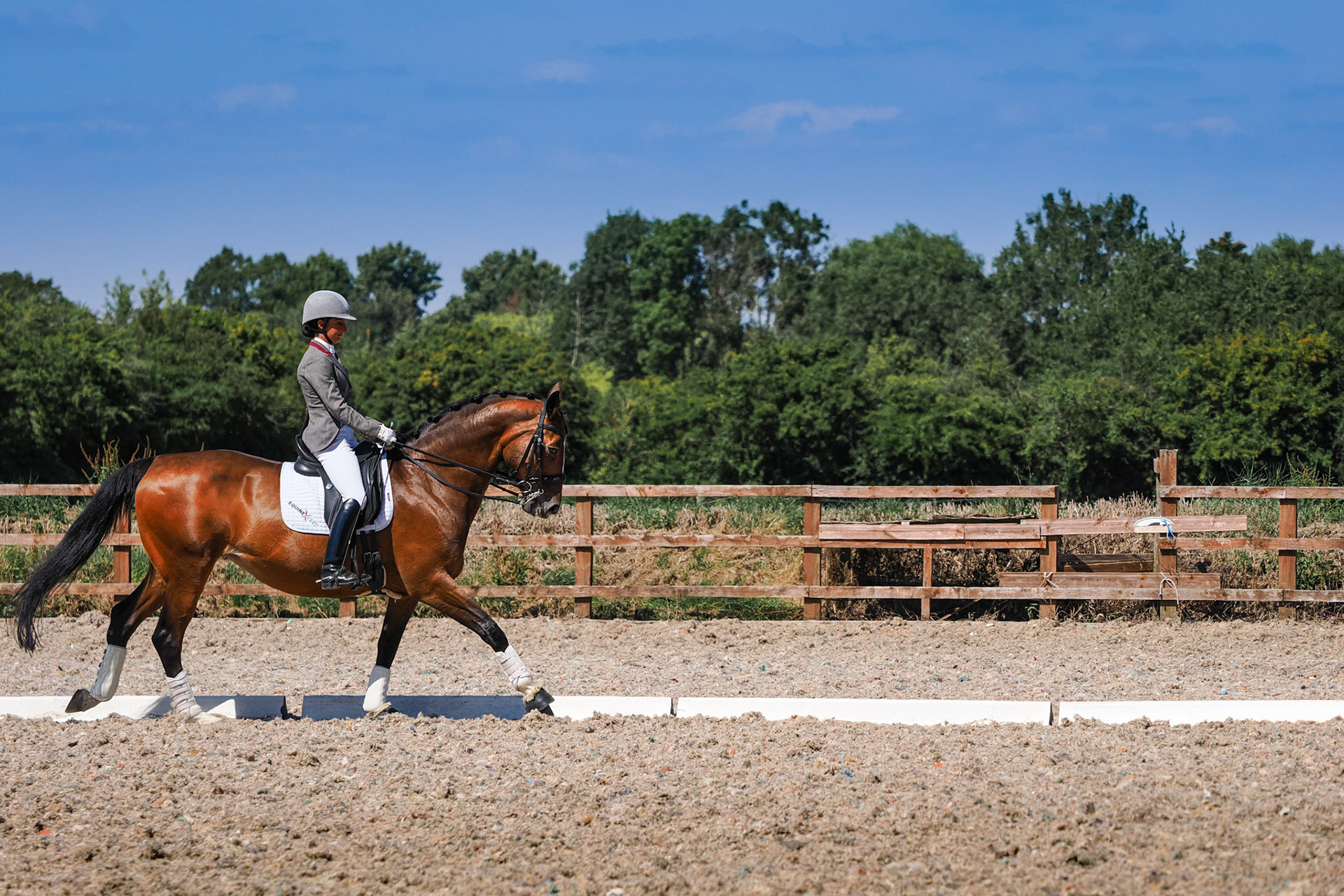 Dressage Test