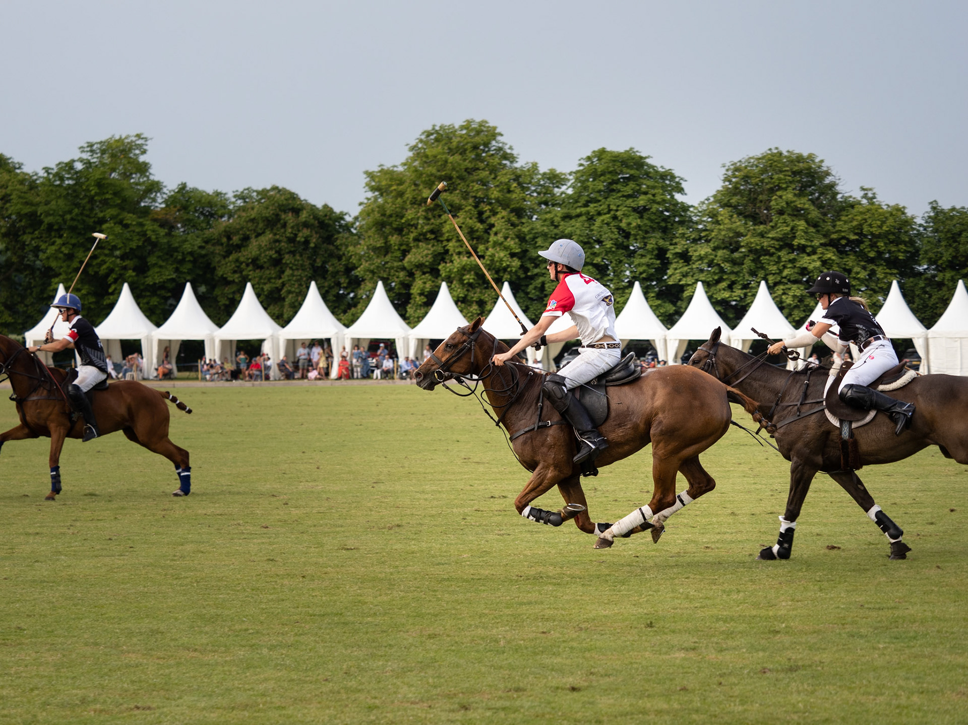 Beaufort, Festival of Polo