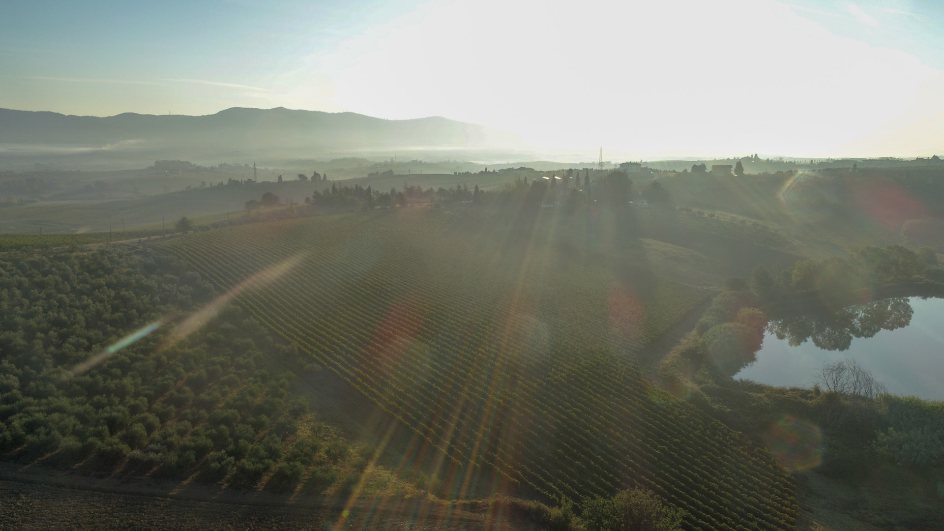 DCIM\100MEDIA\DJI_0011.JPG