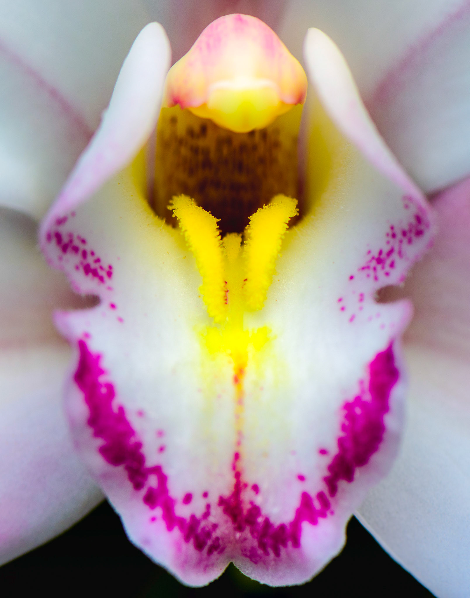 Flower Parts