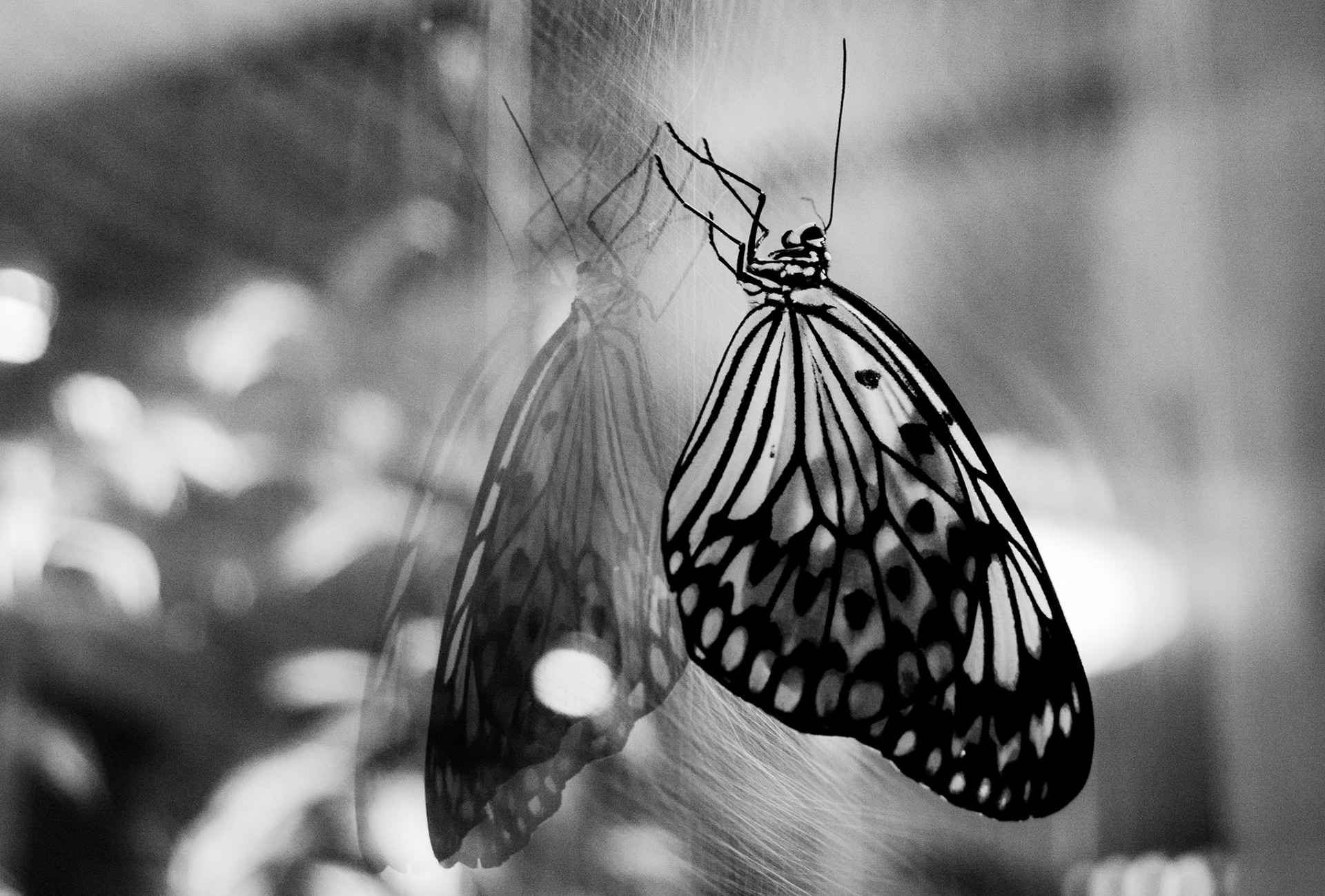 On Glass