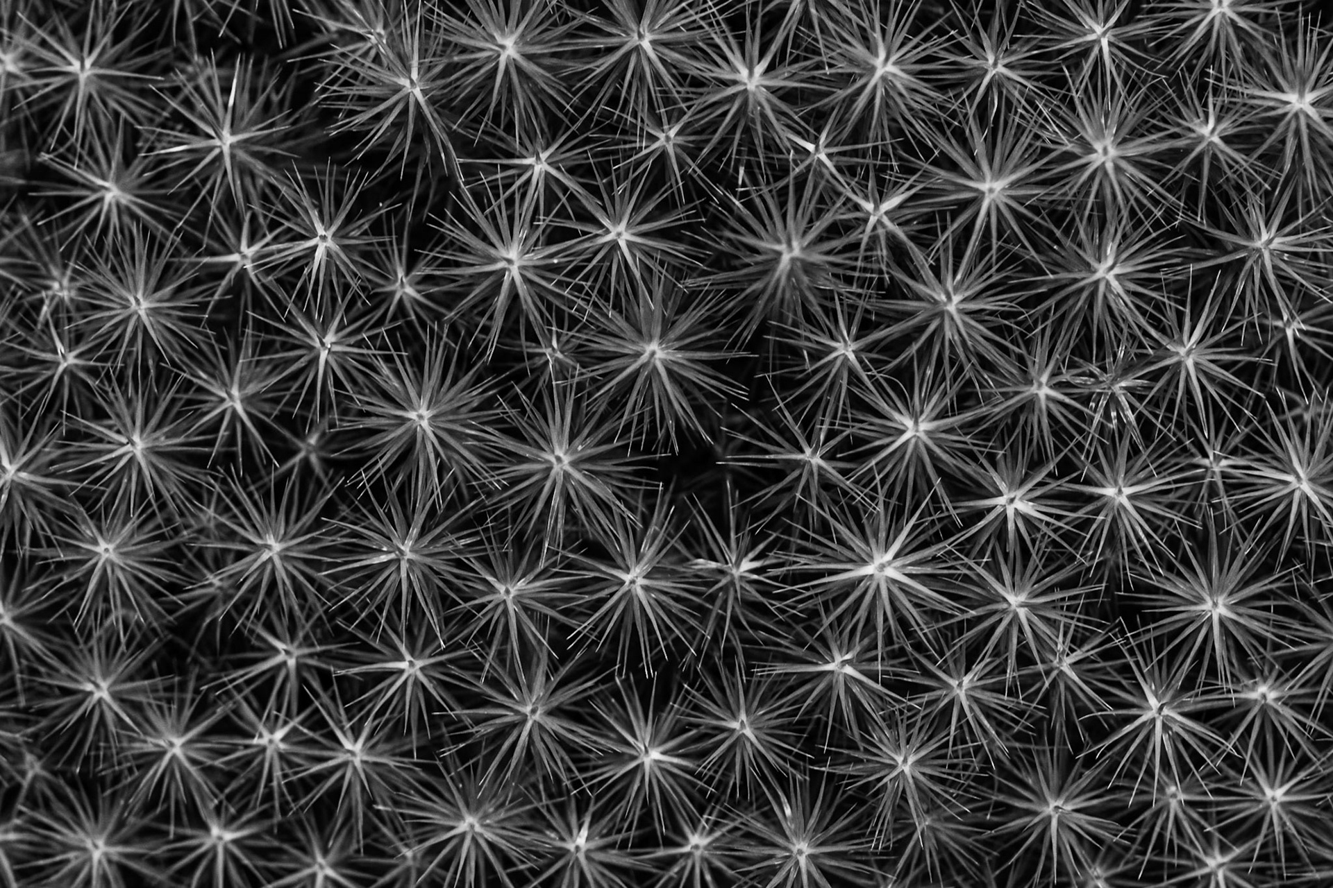 218/365