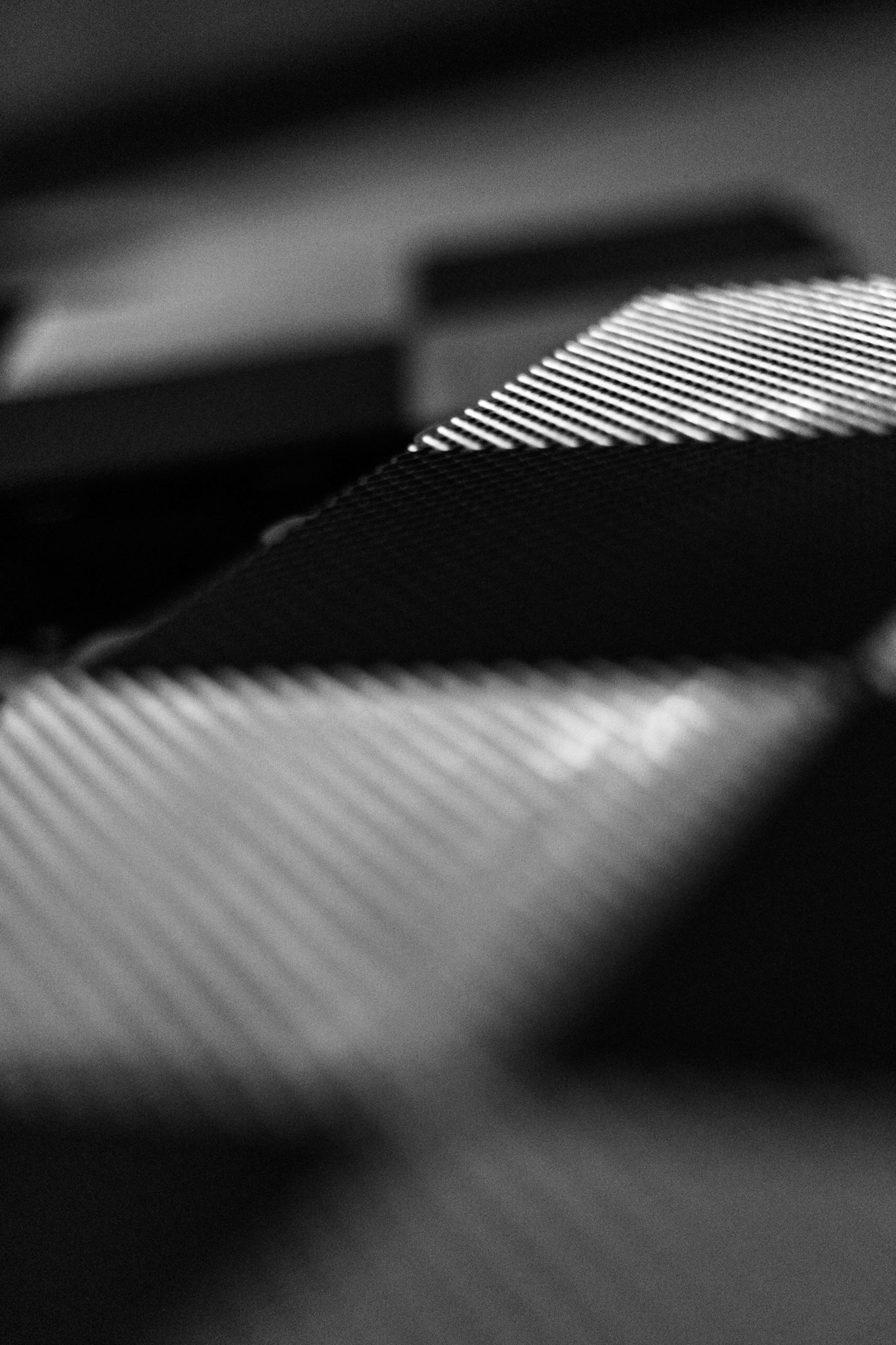 221/365